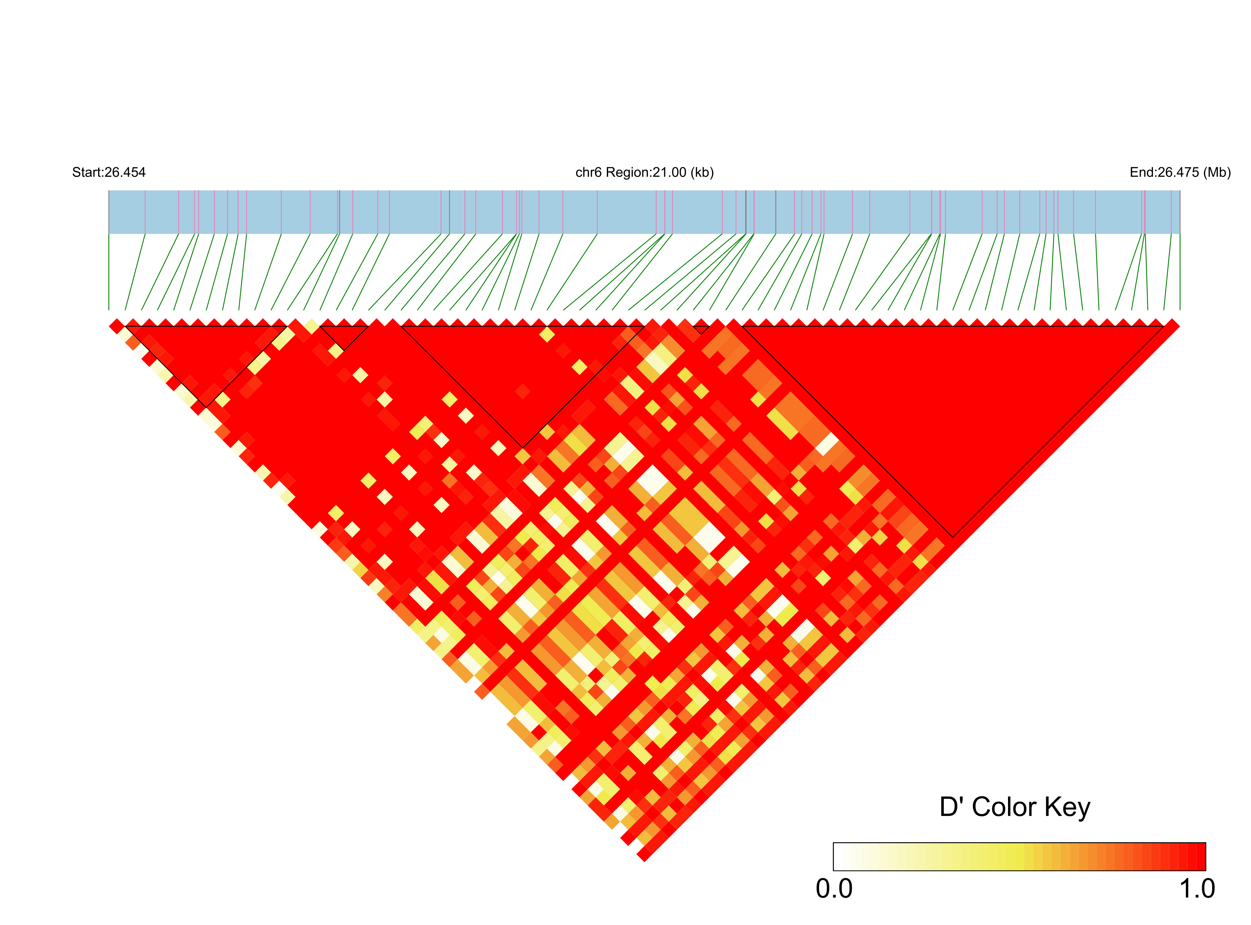 LD