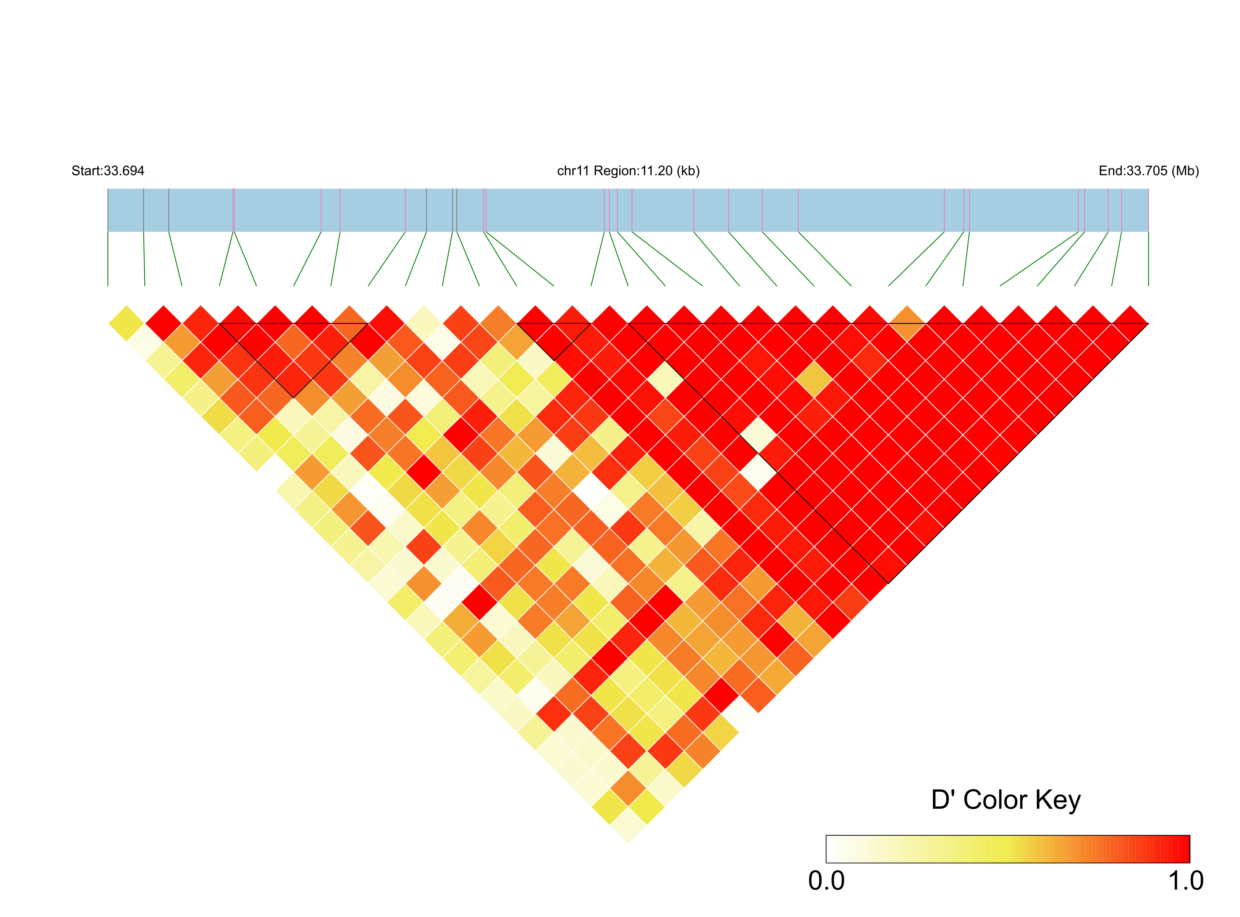 LD