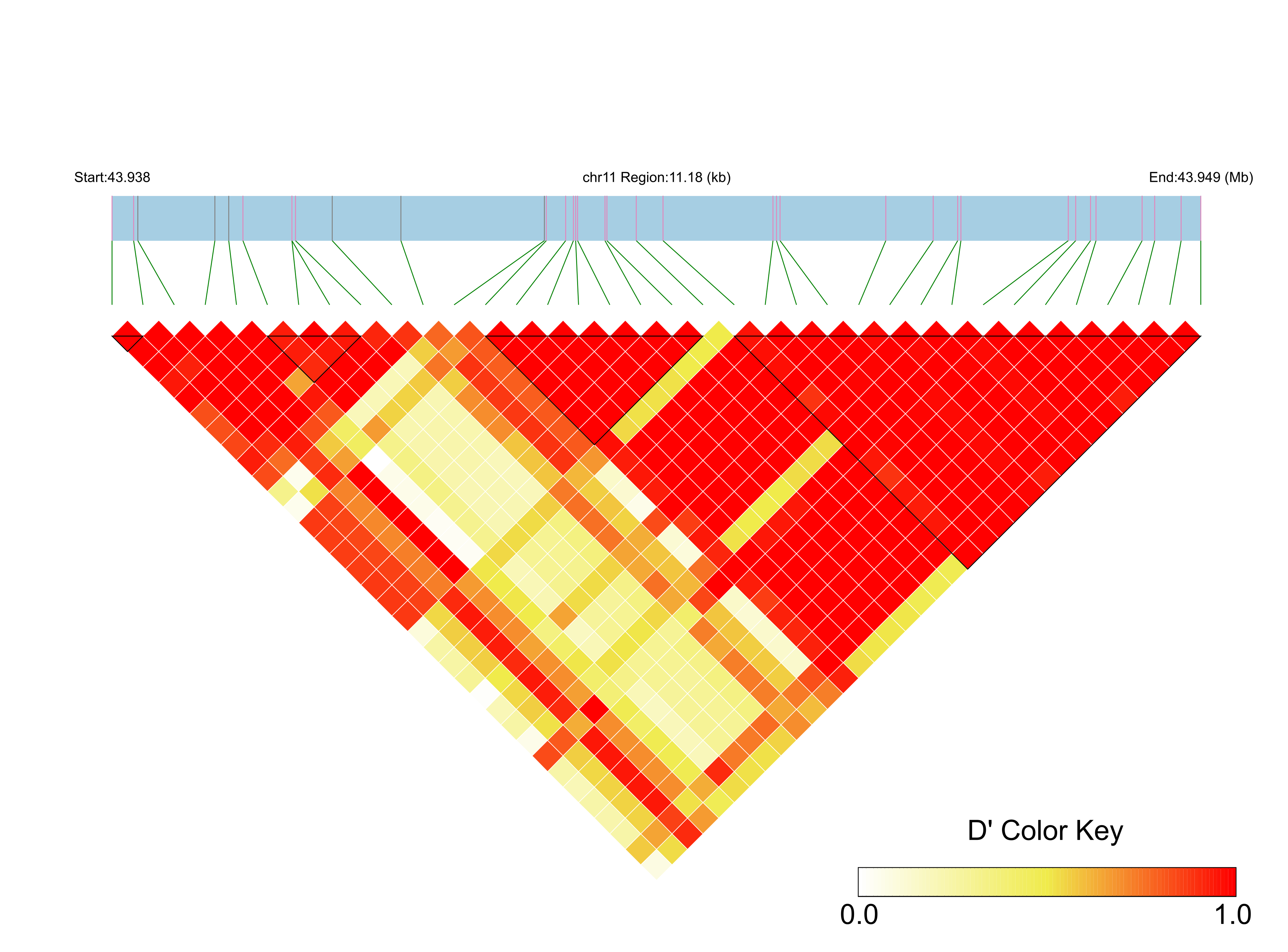 LD