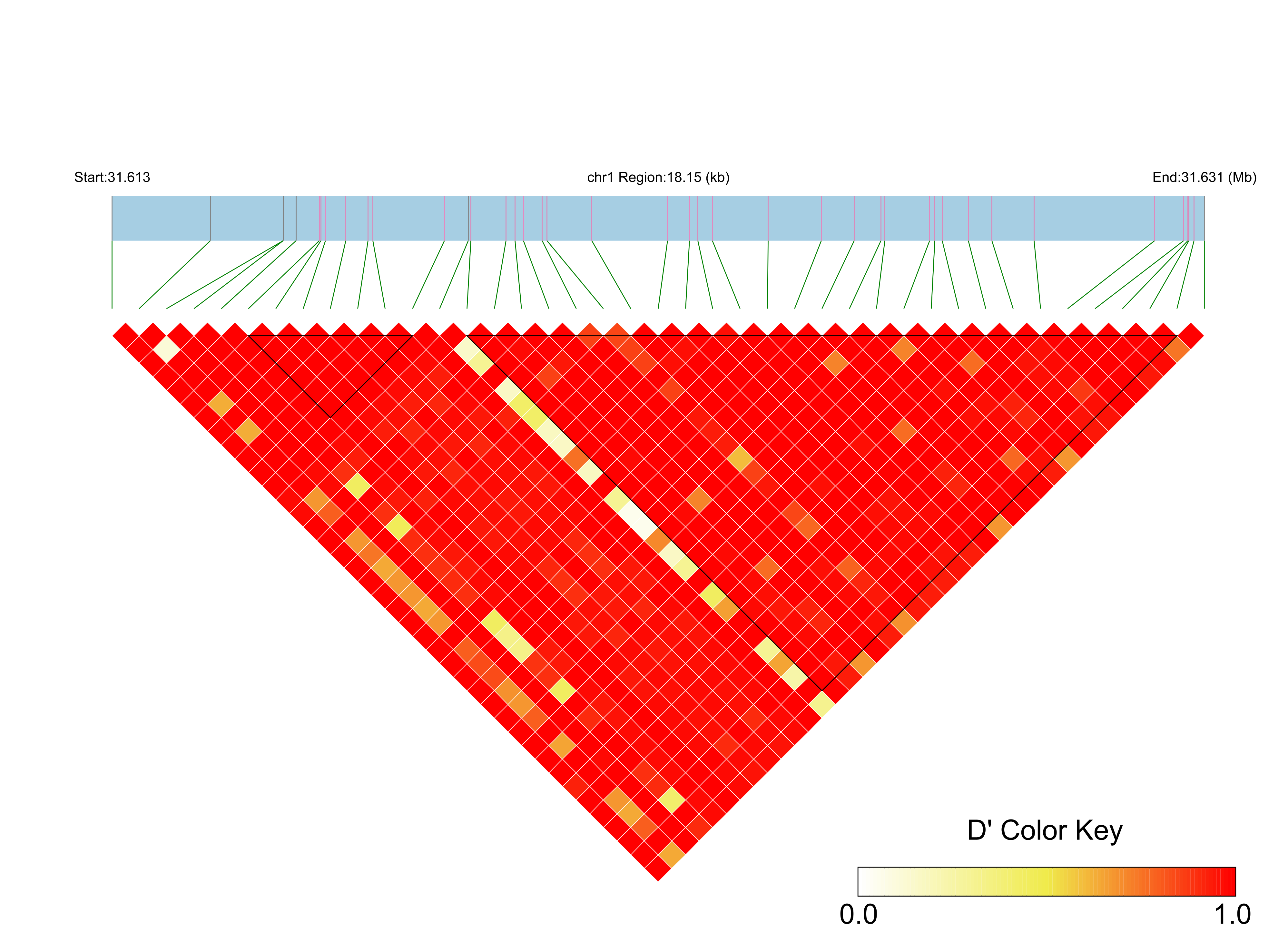 LD