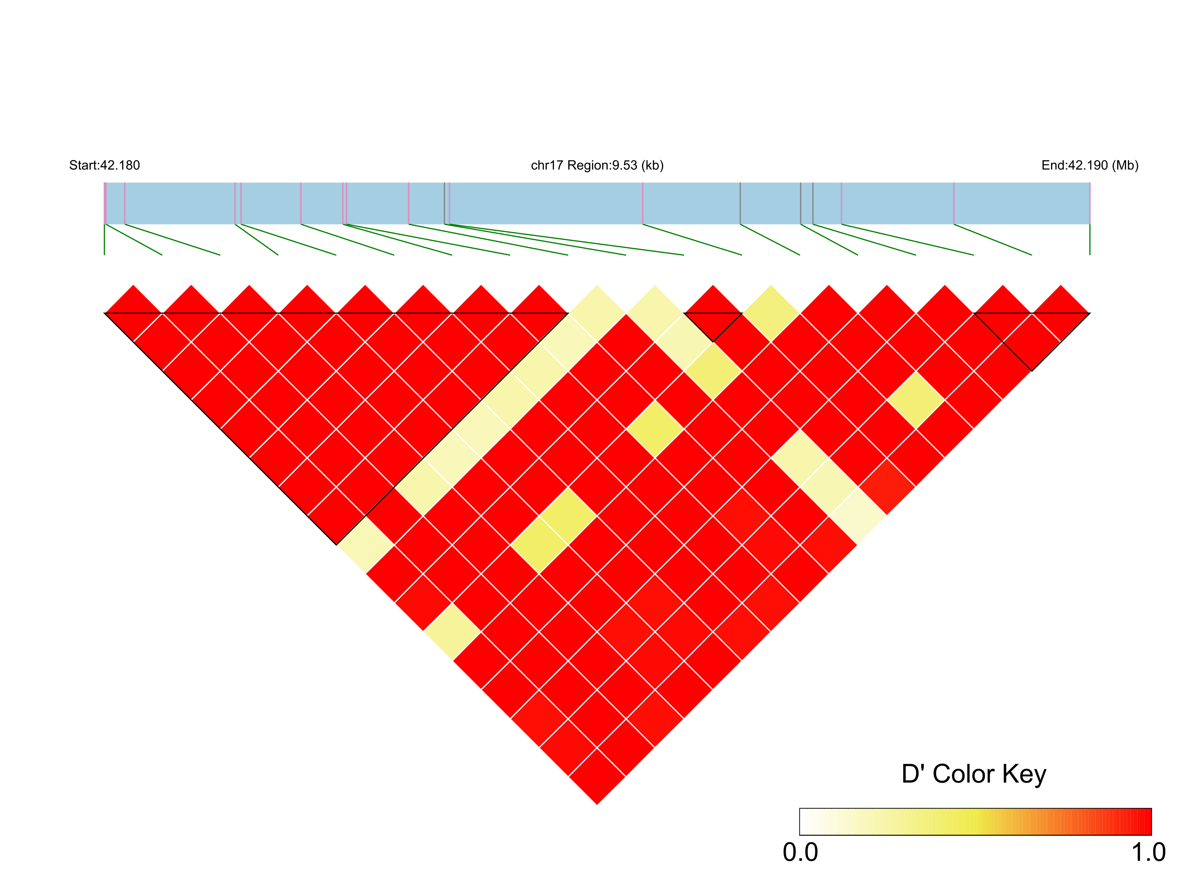 LD