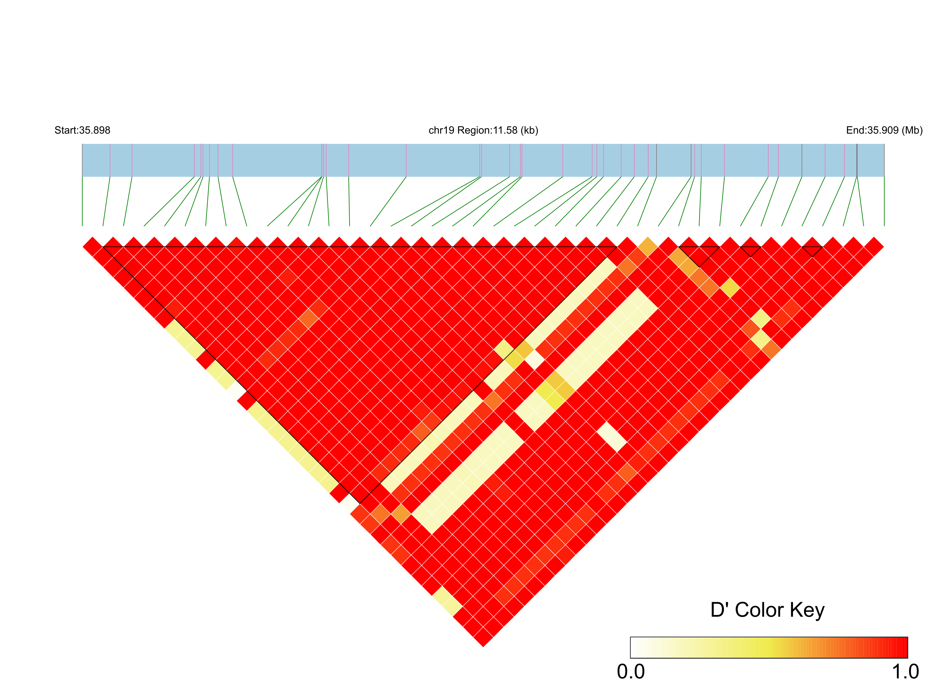LD