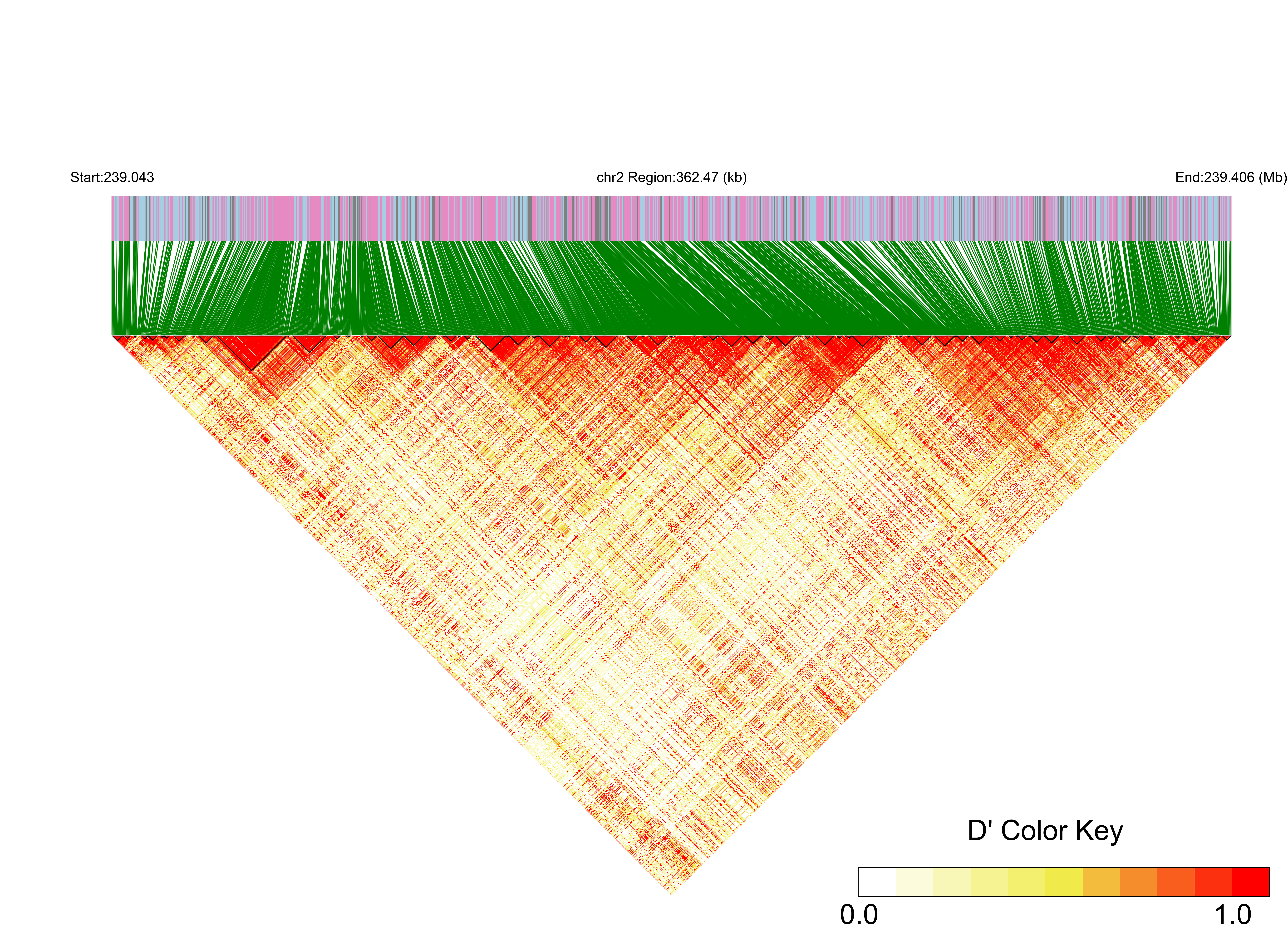 LD