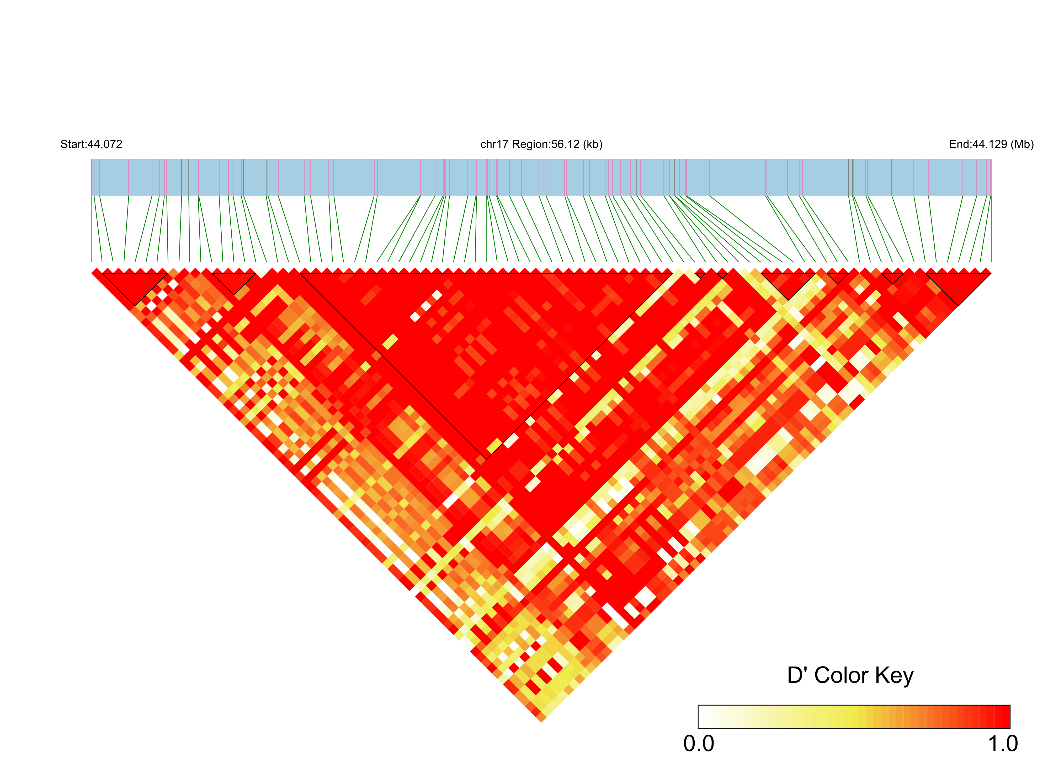 LD