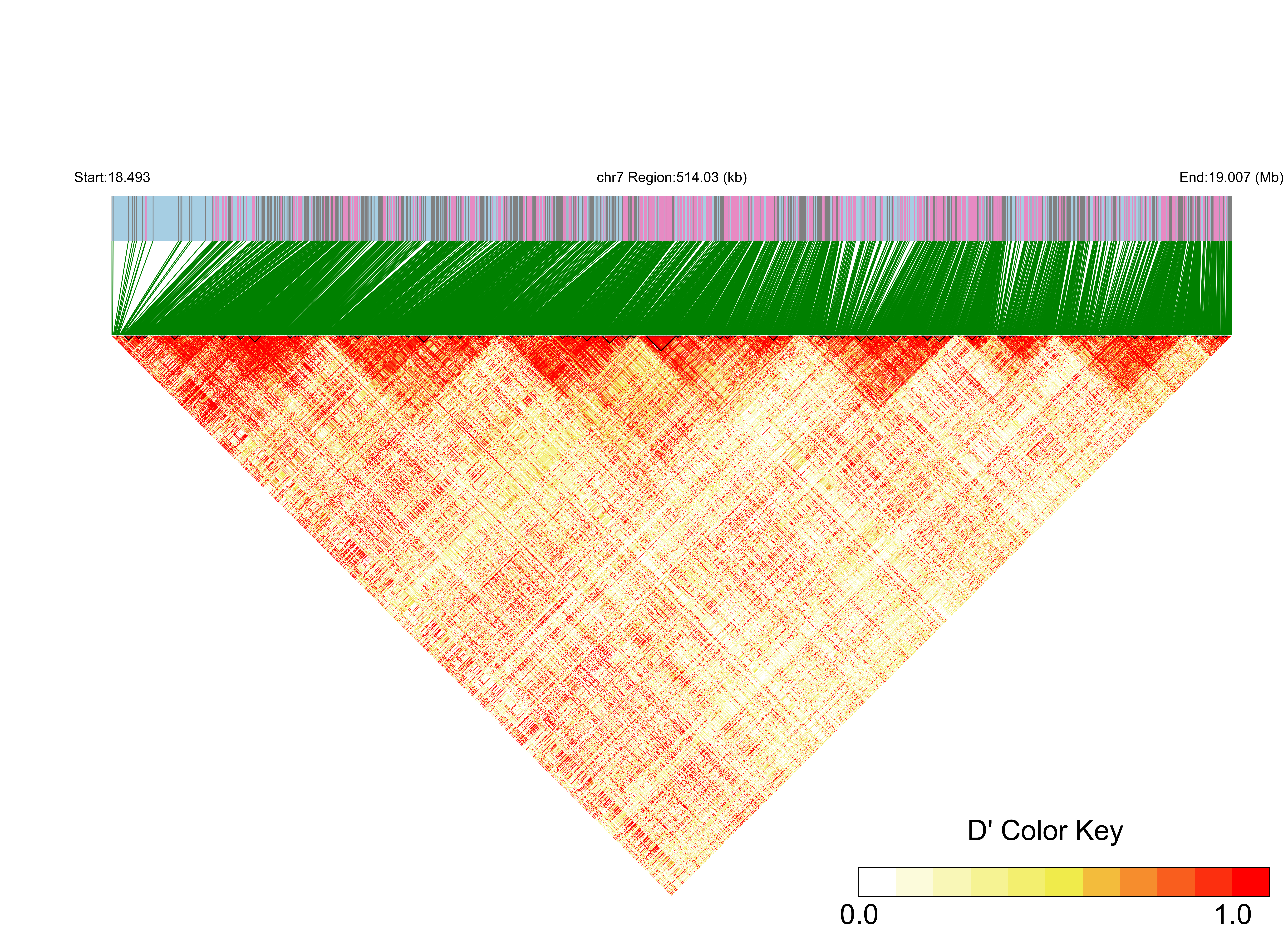 LD