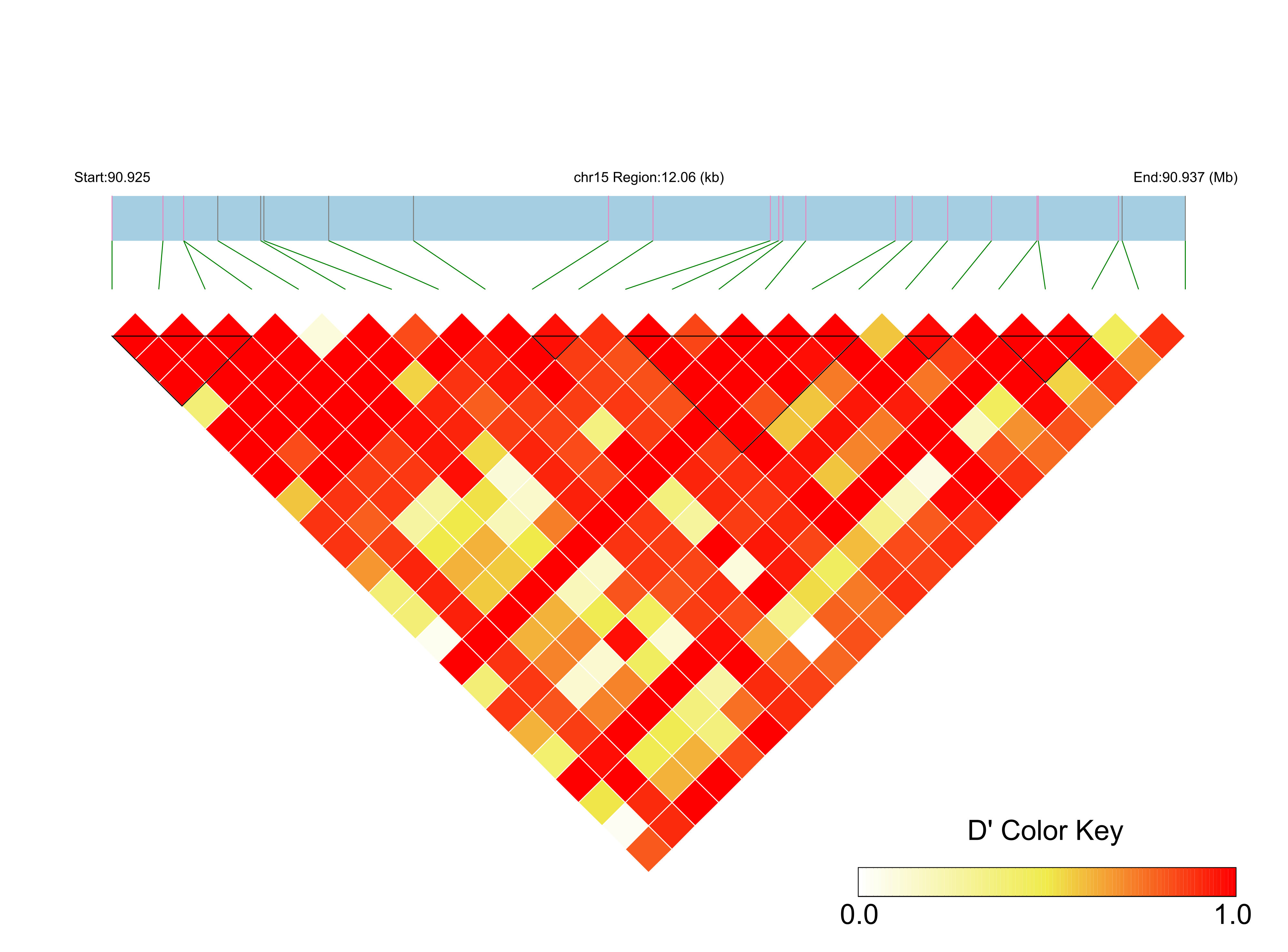 LD