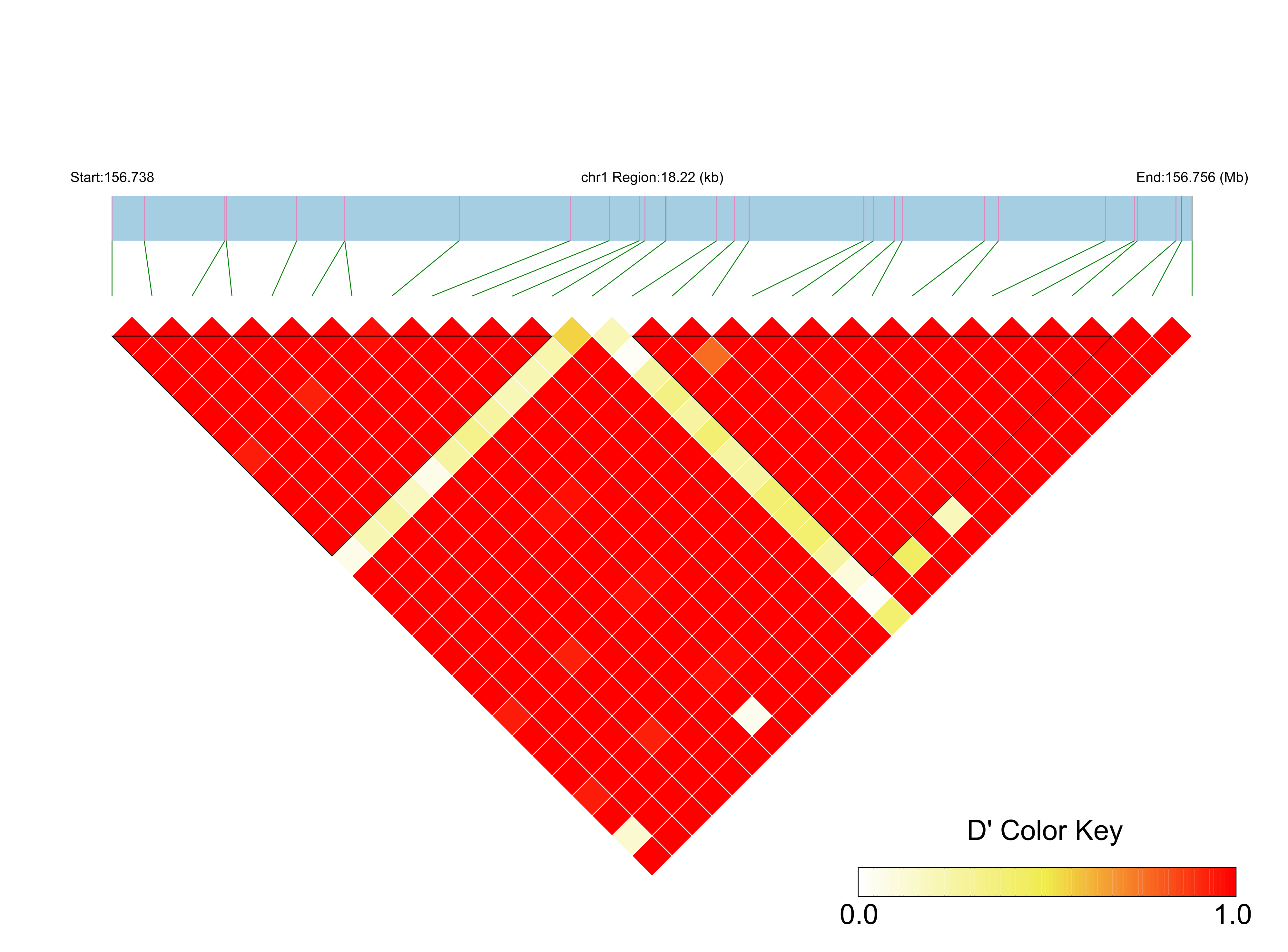 LD