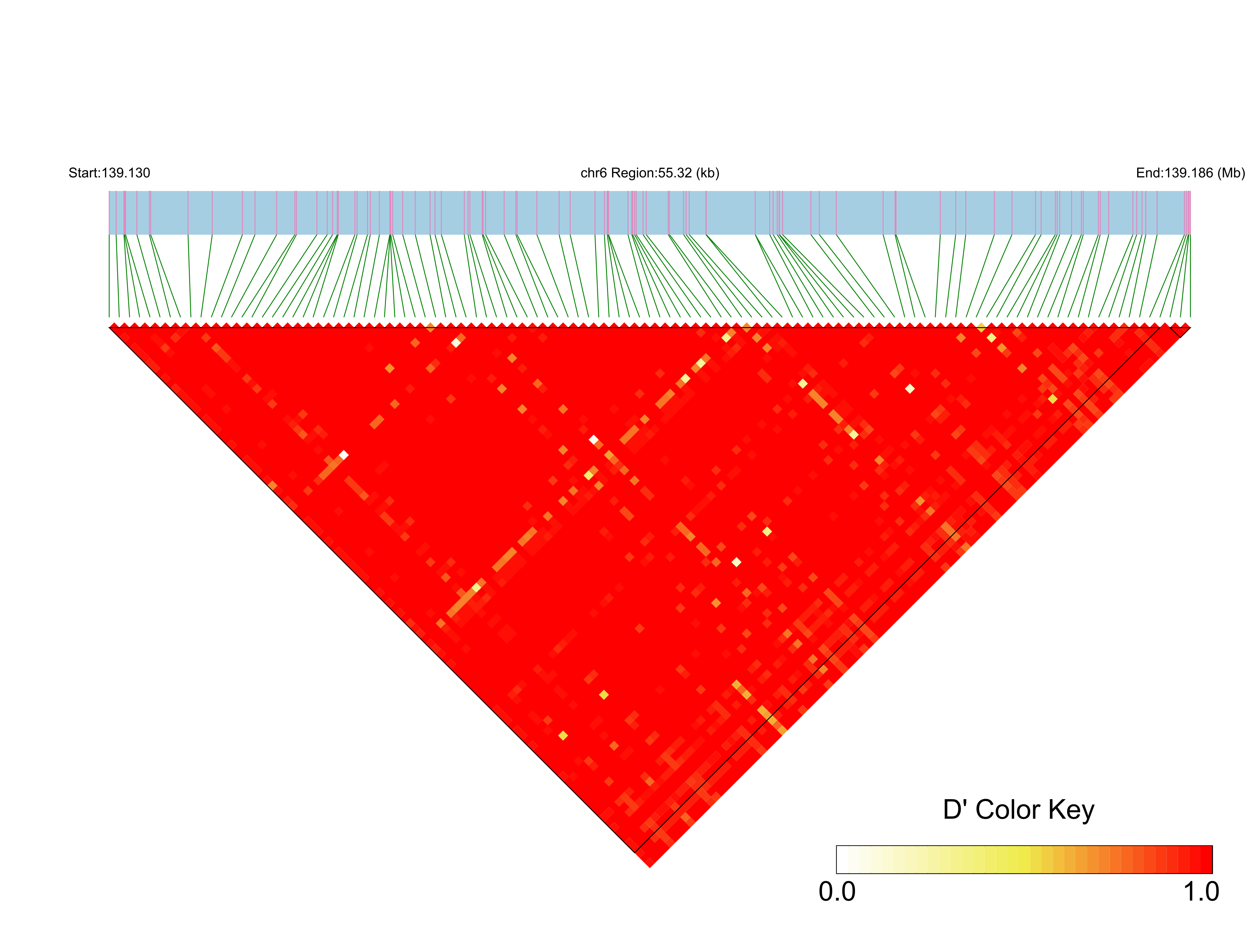 LD