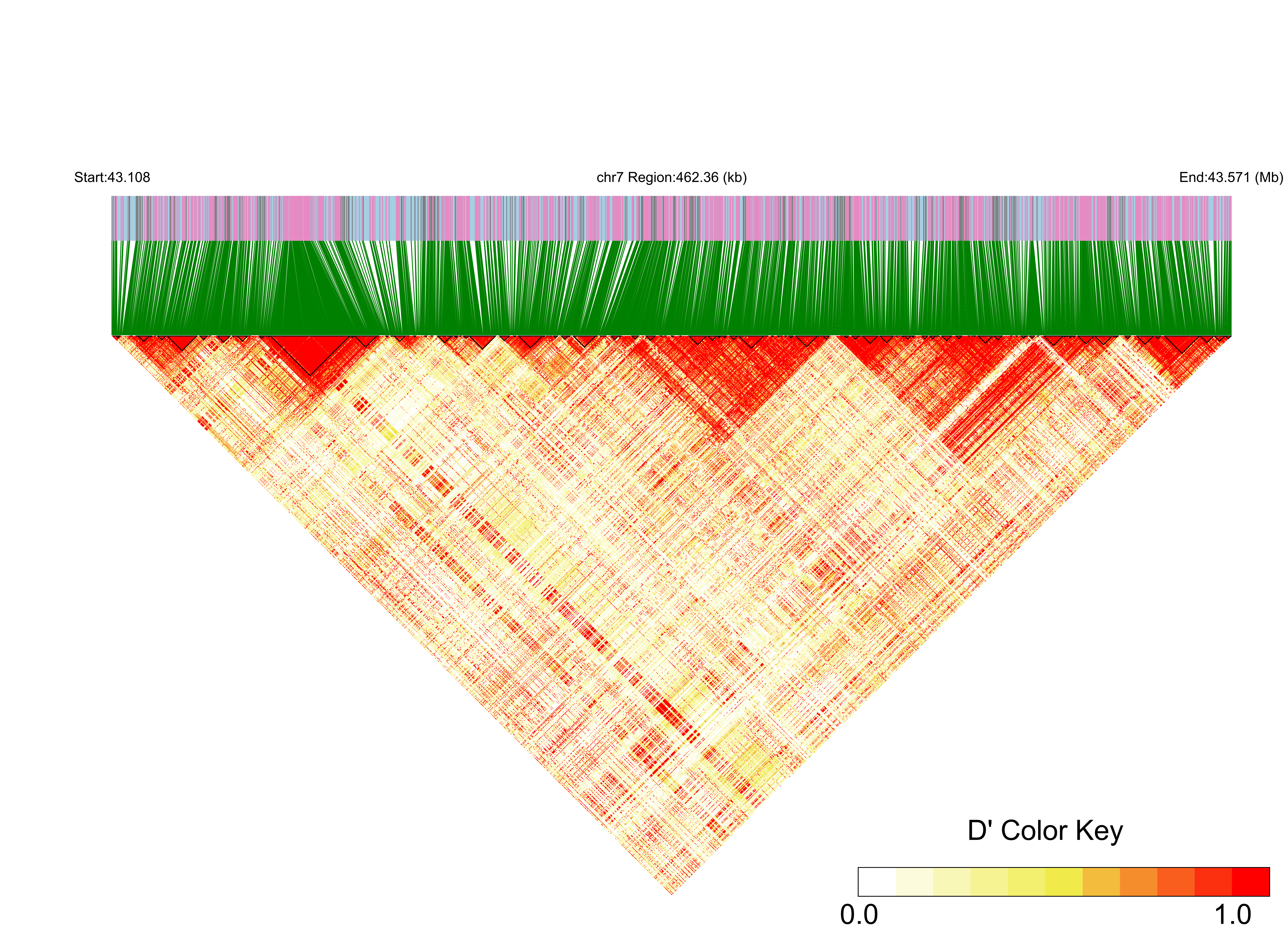 LD
