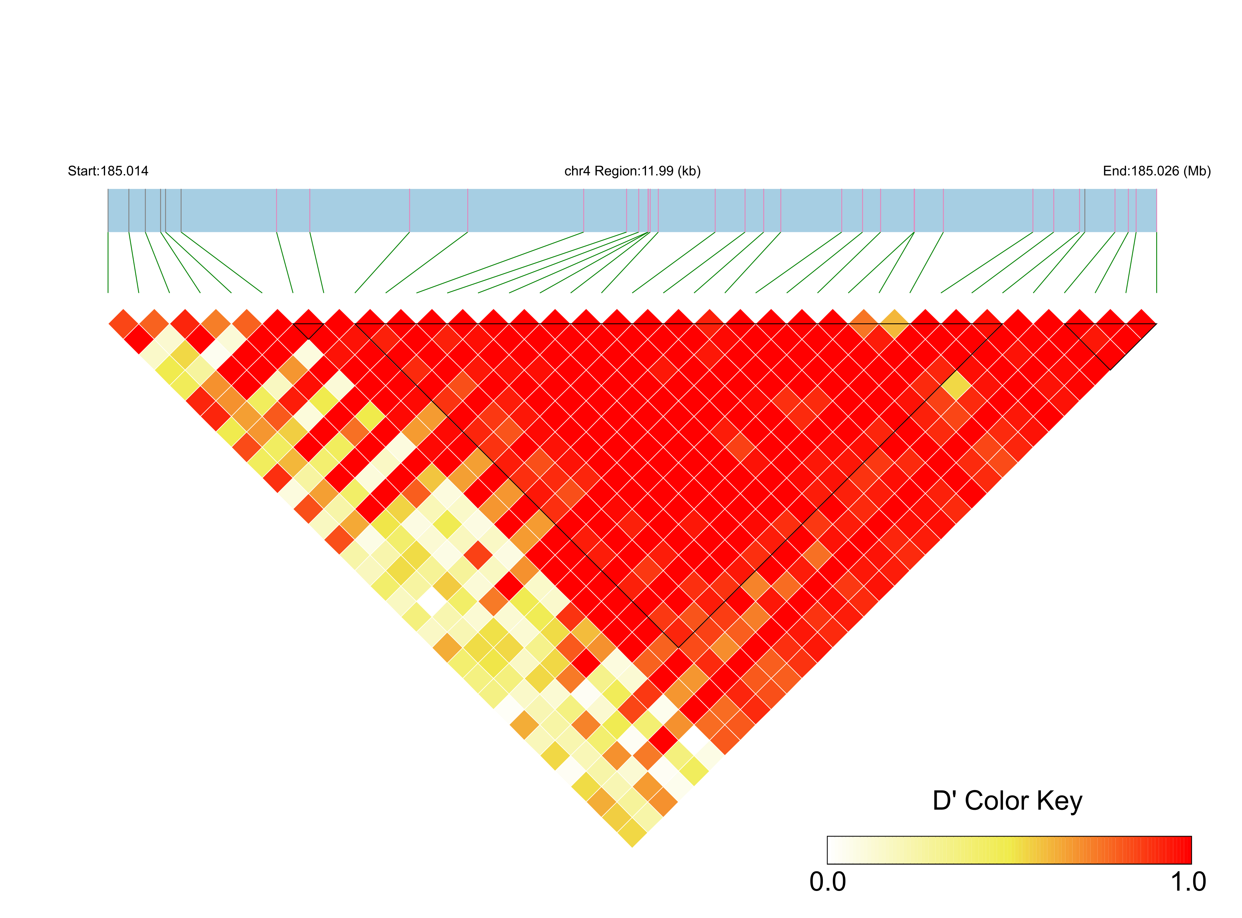 LD
