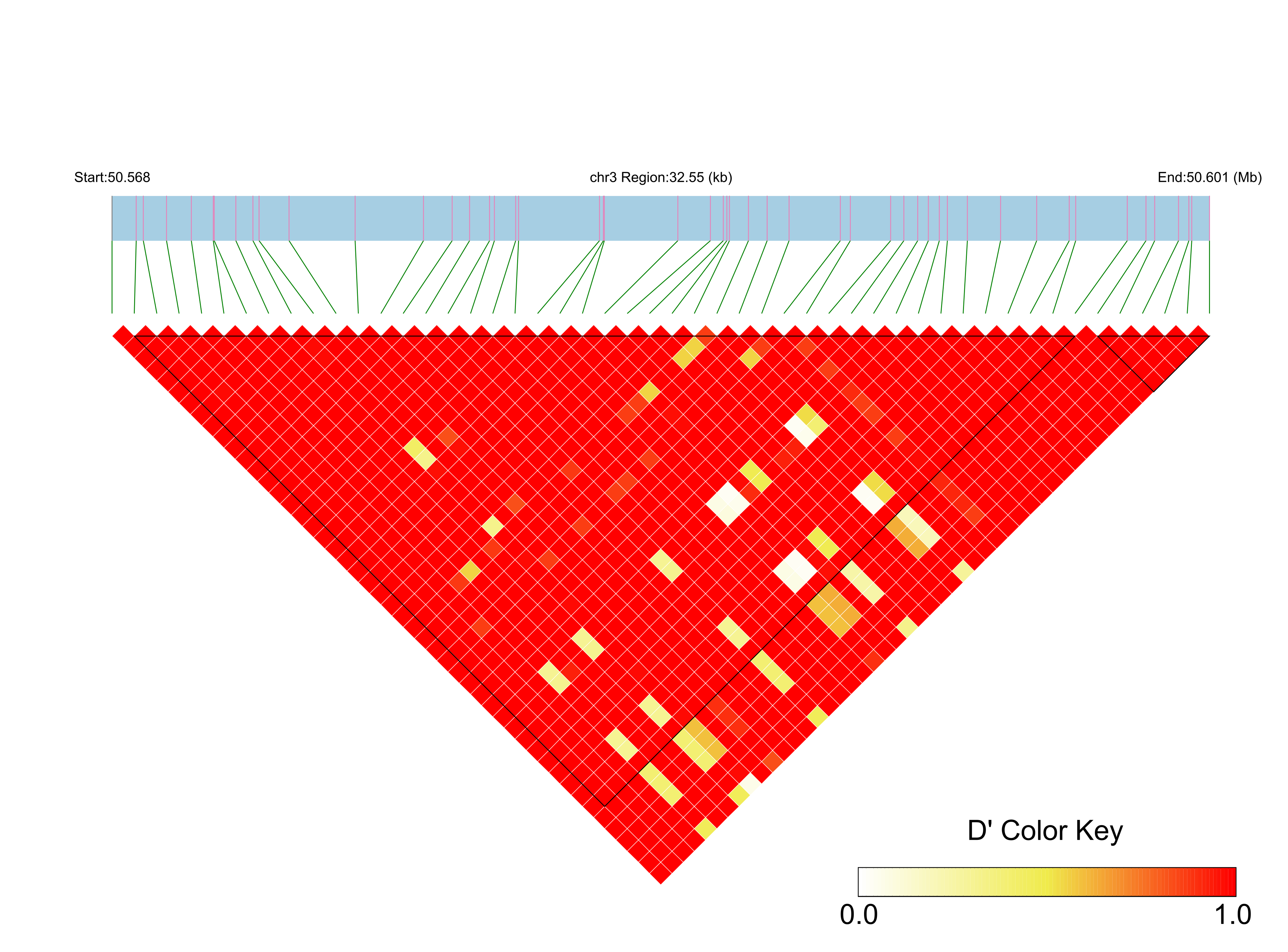 LD