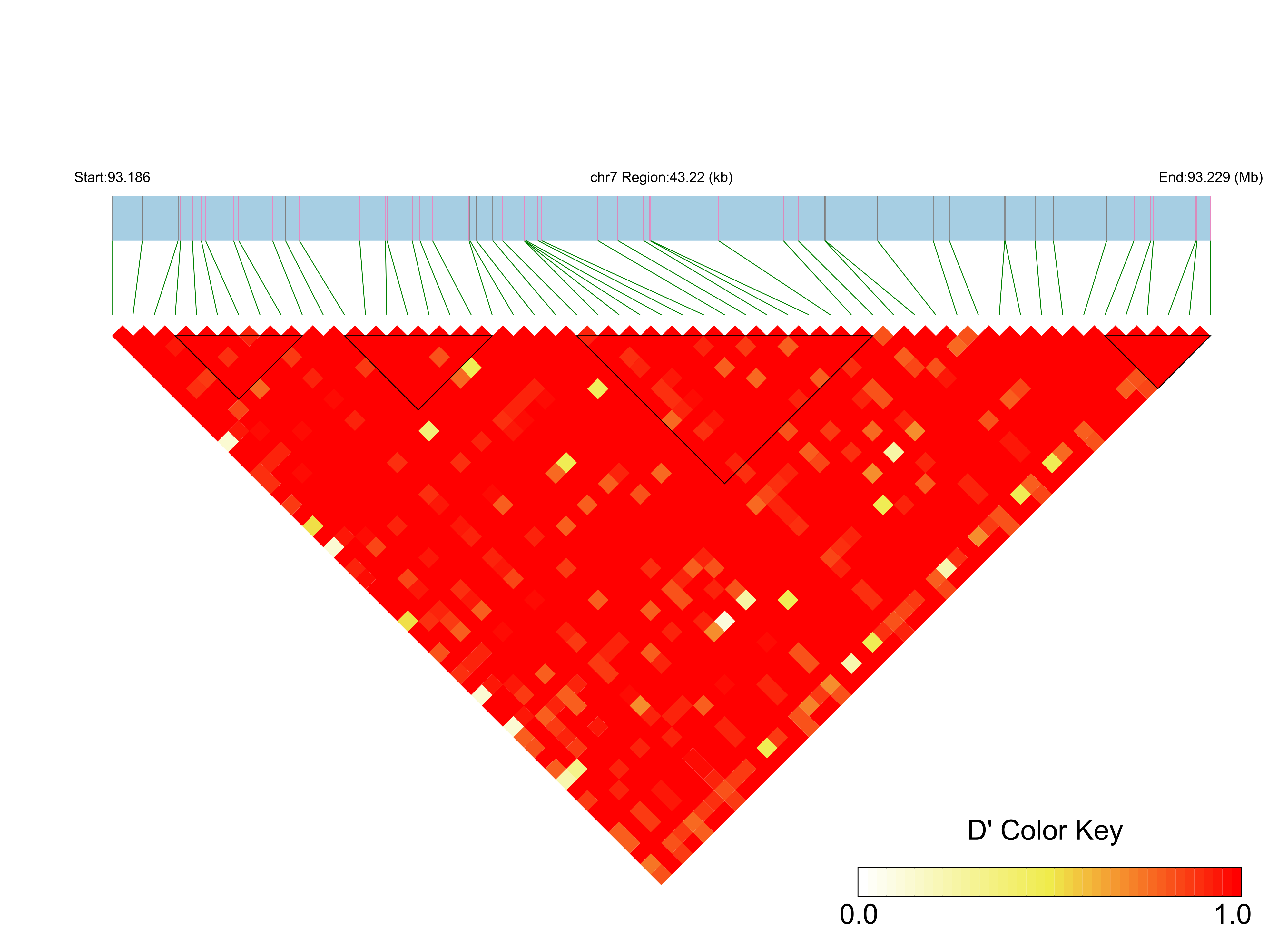 LD