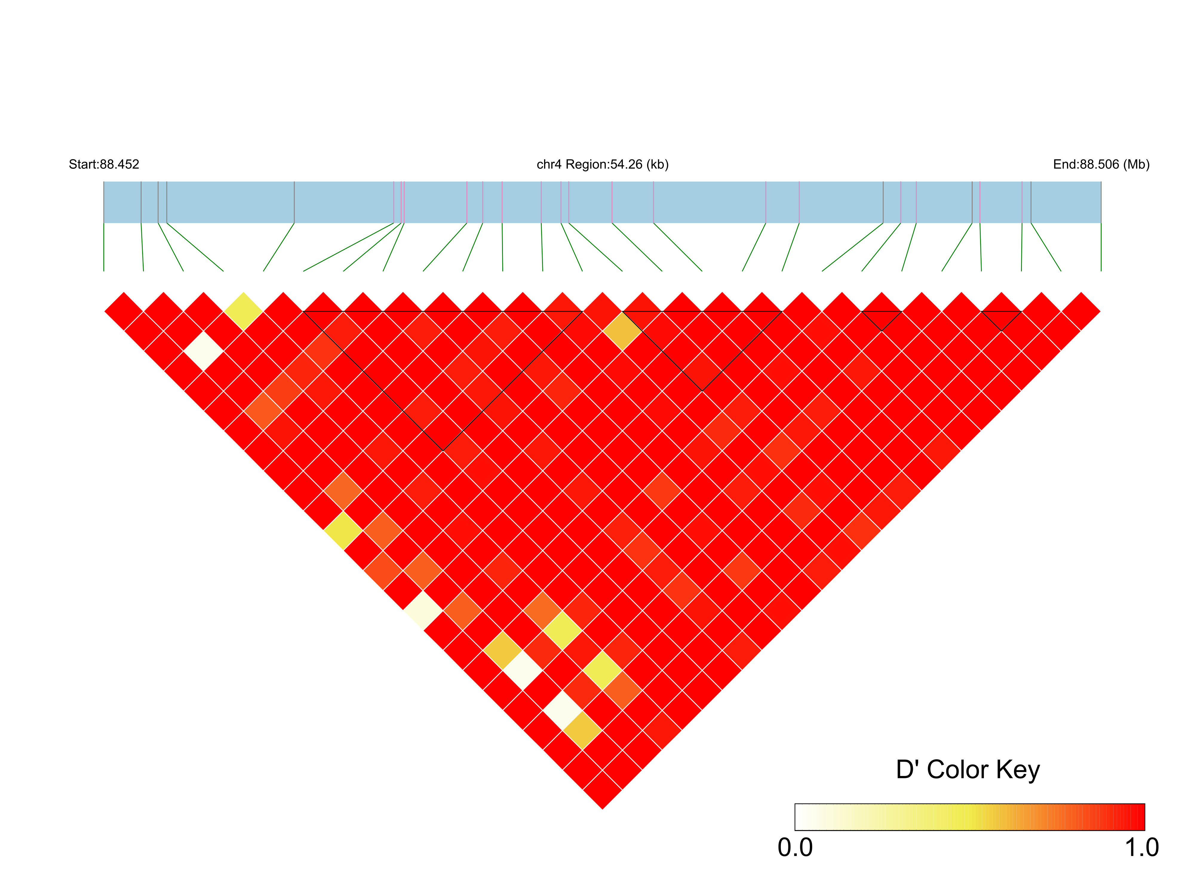LD