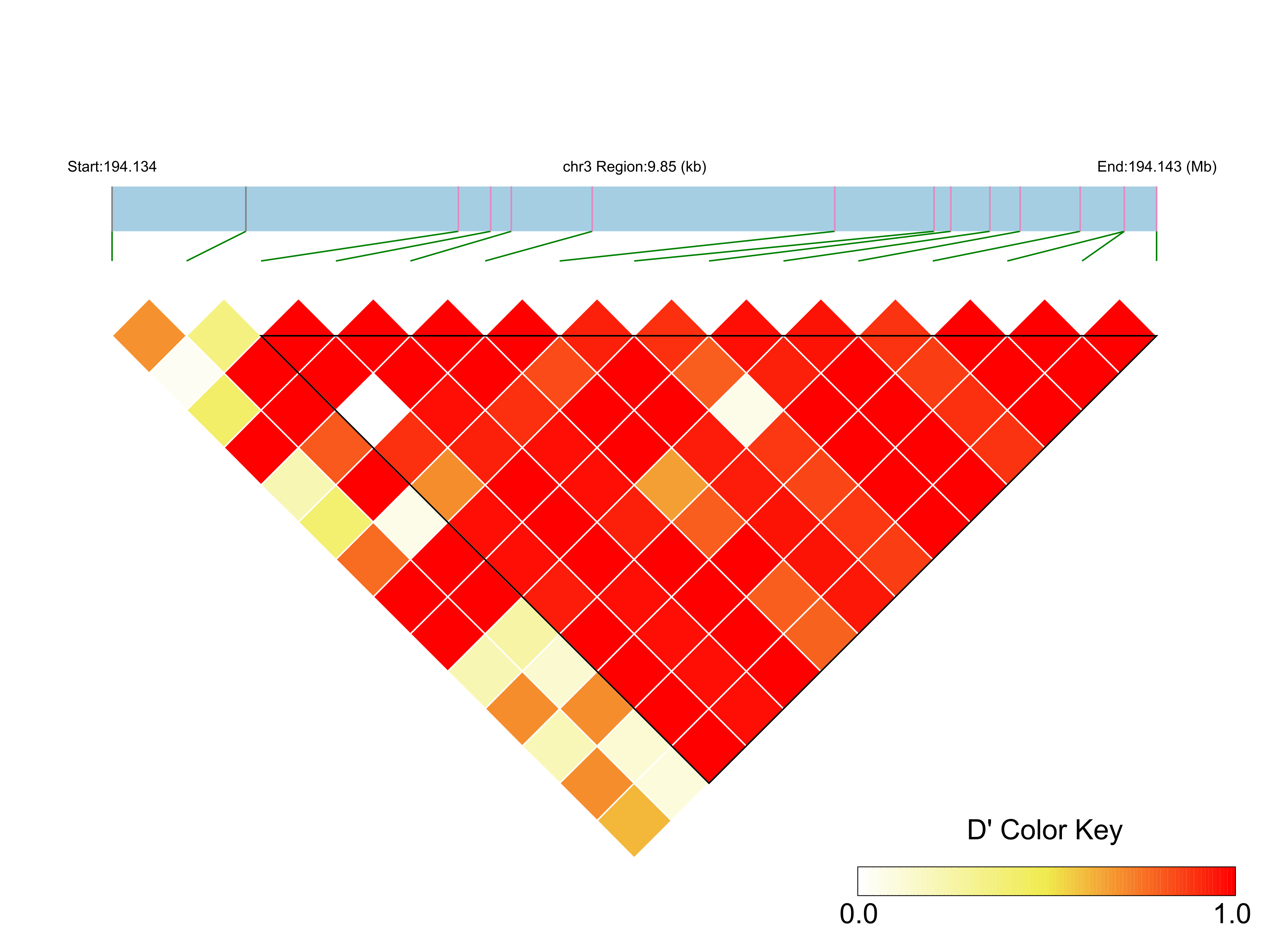 LD