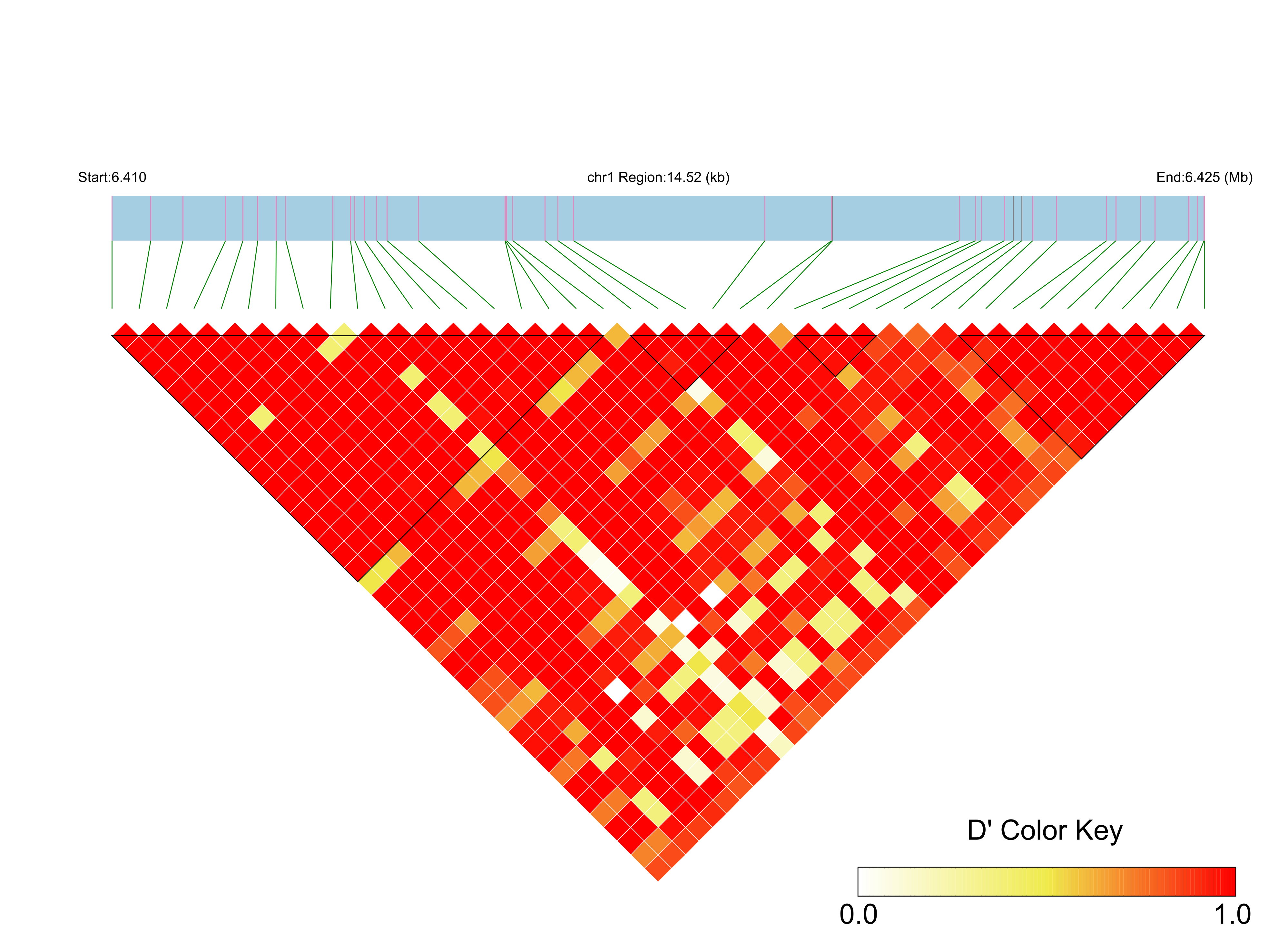 LD