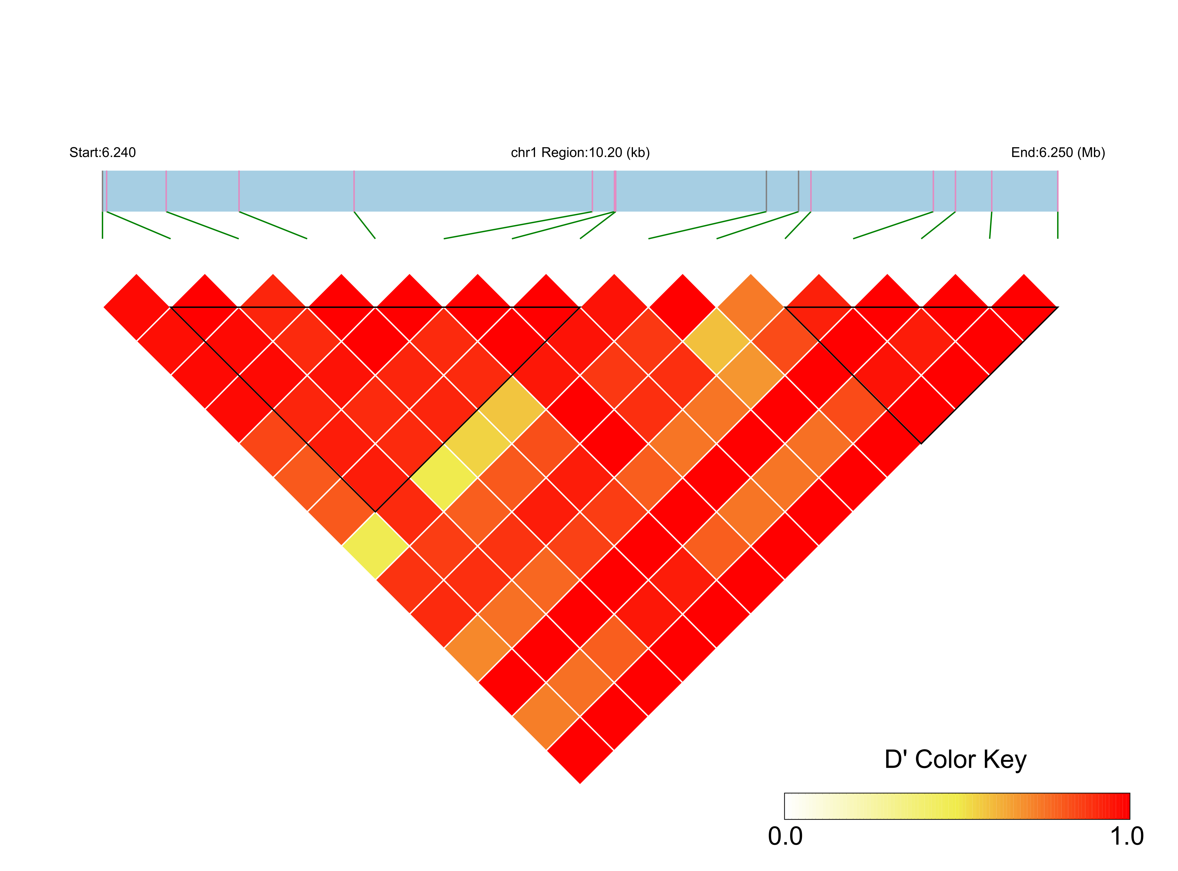 LD