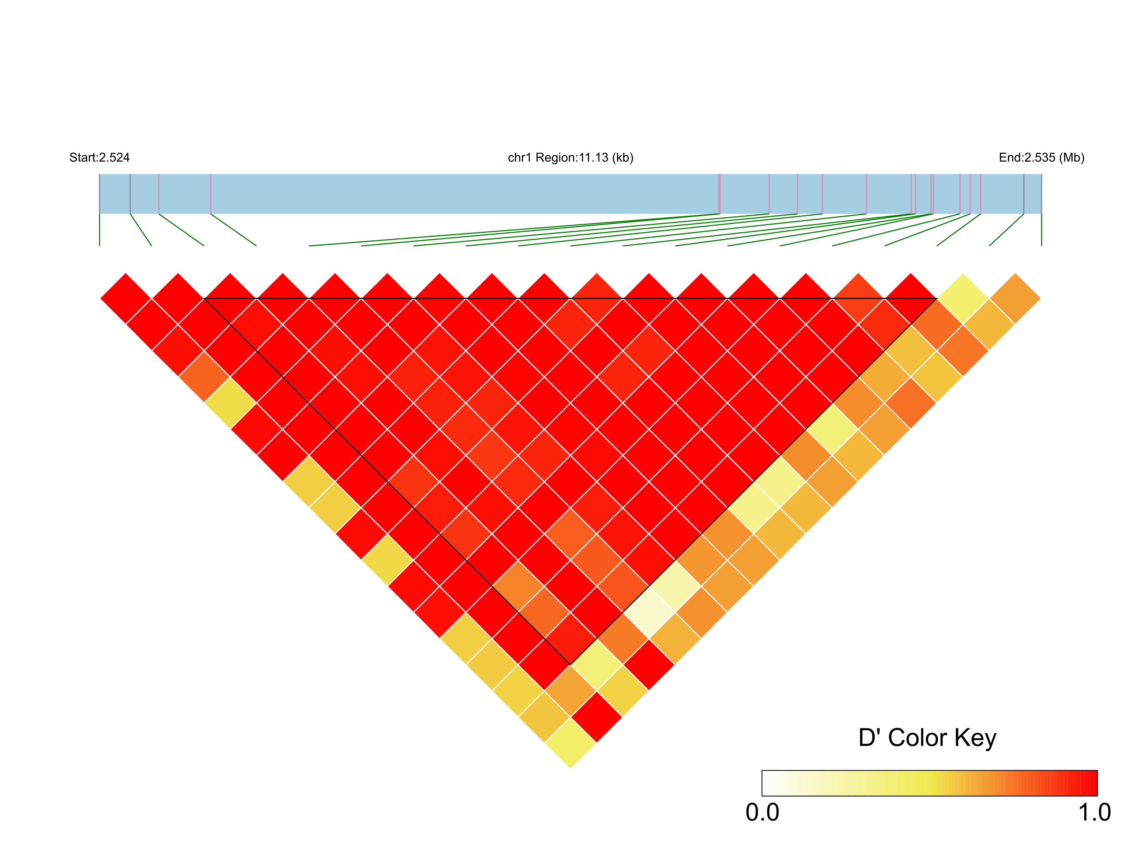 LD