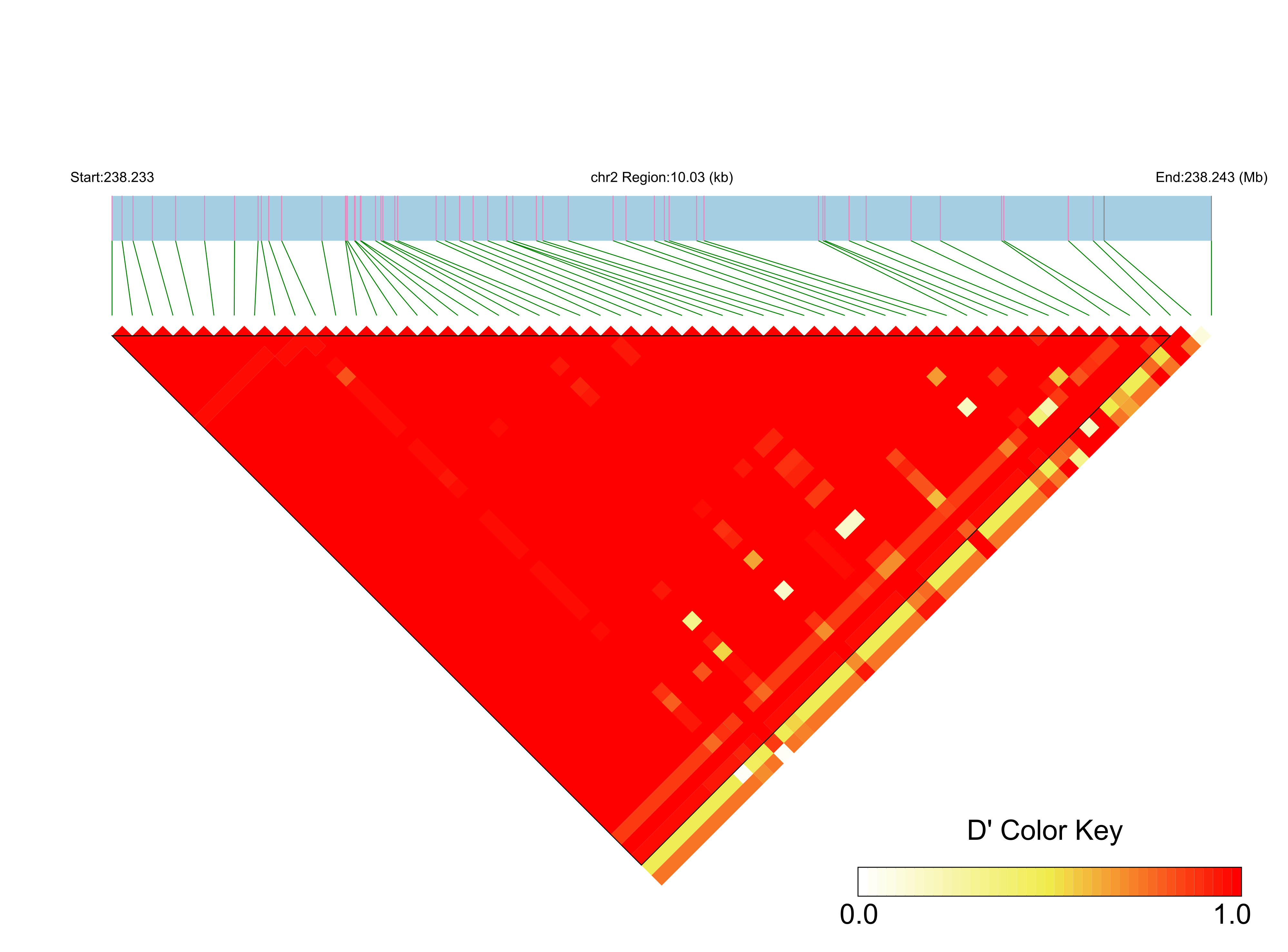 LD
