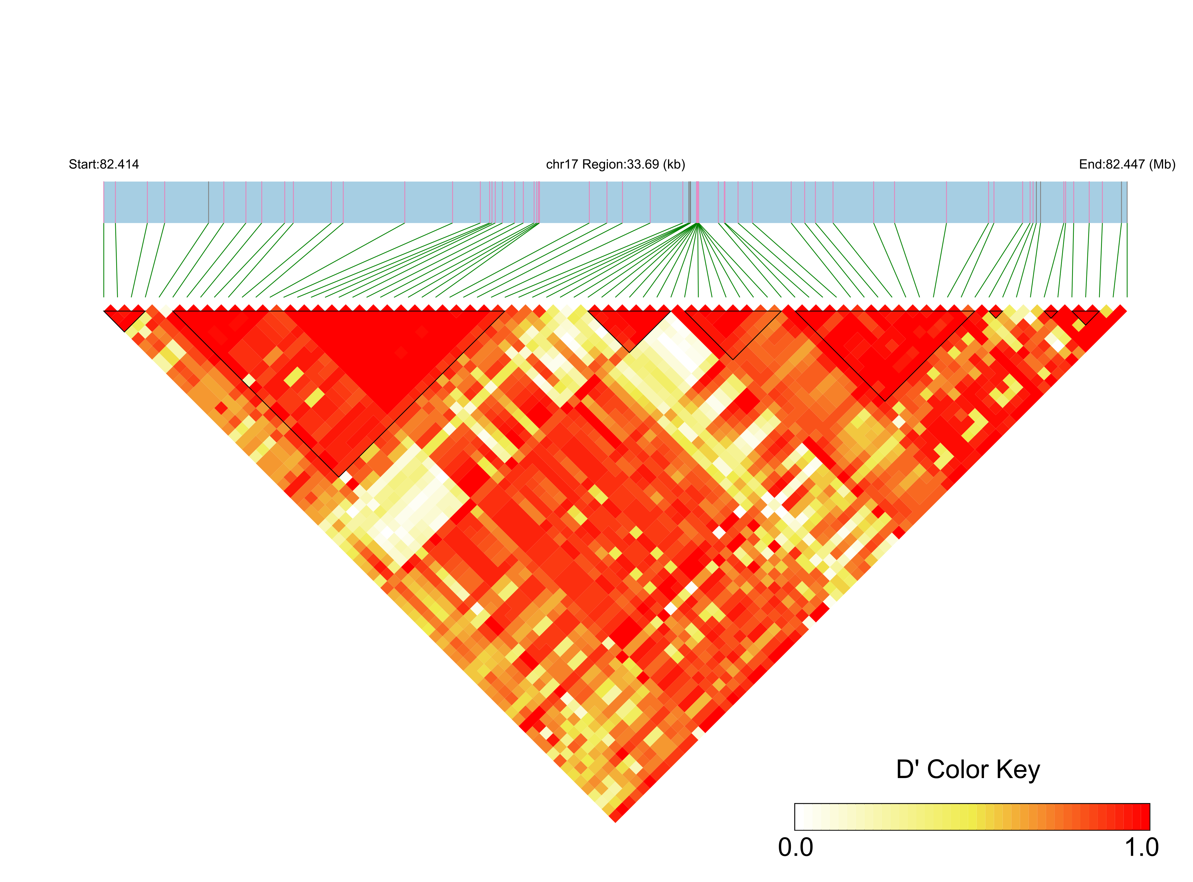 LD