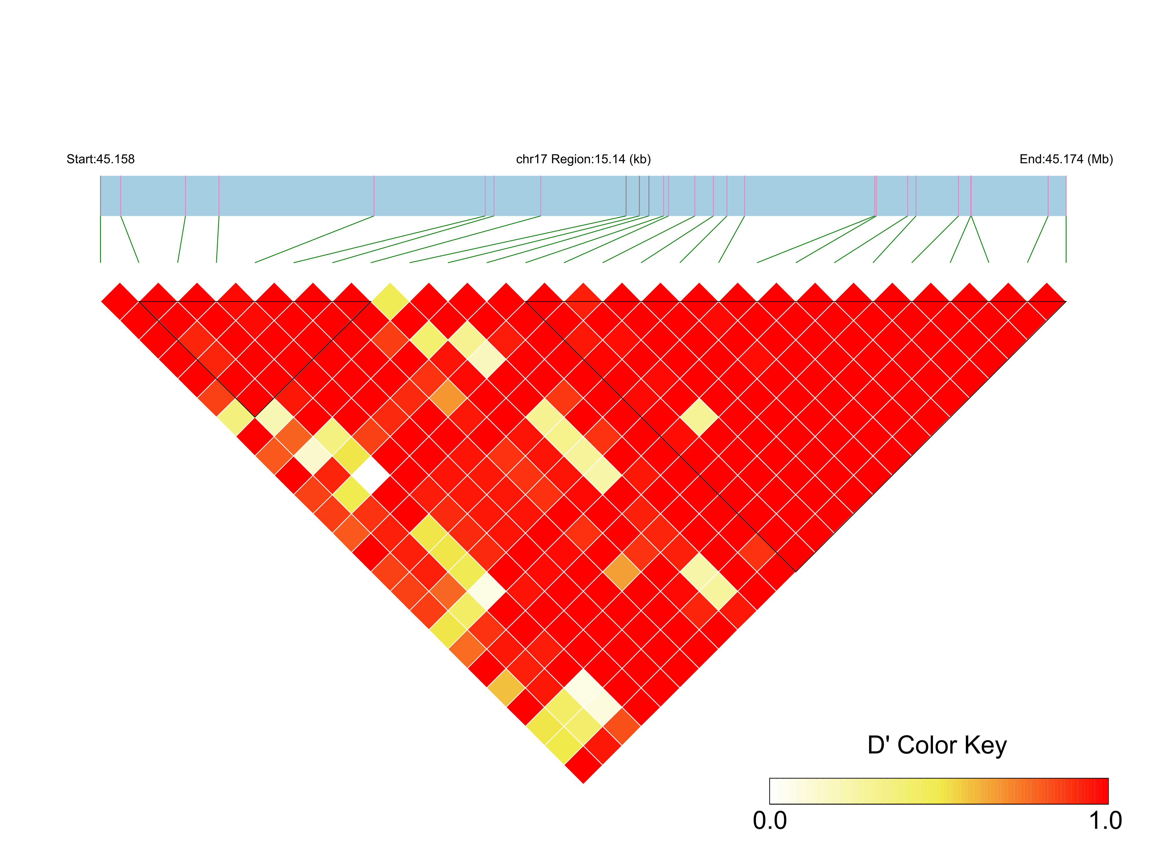LD