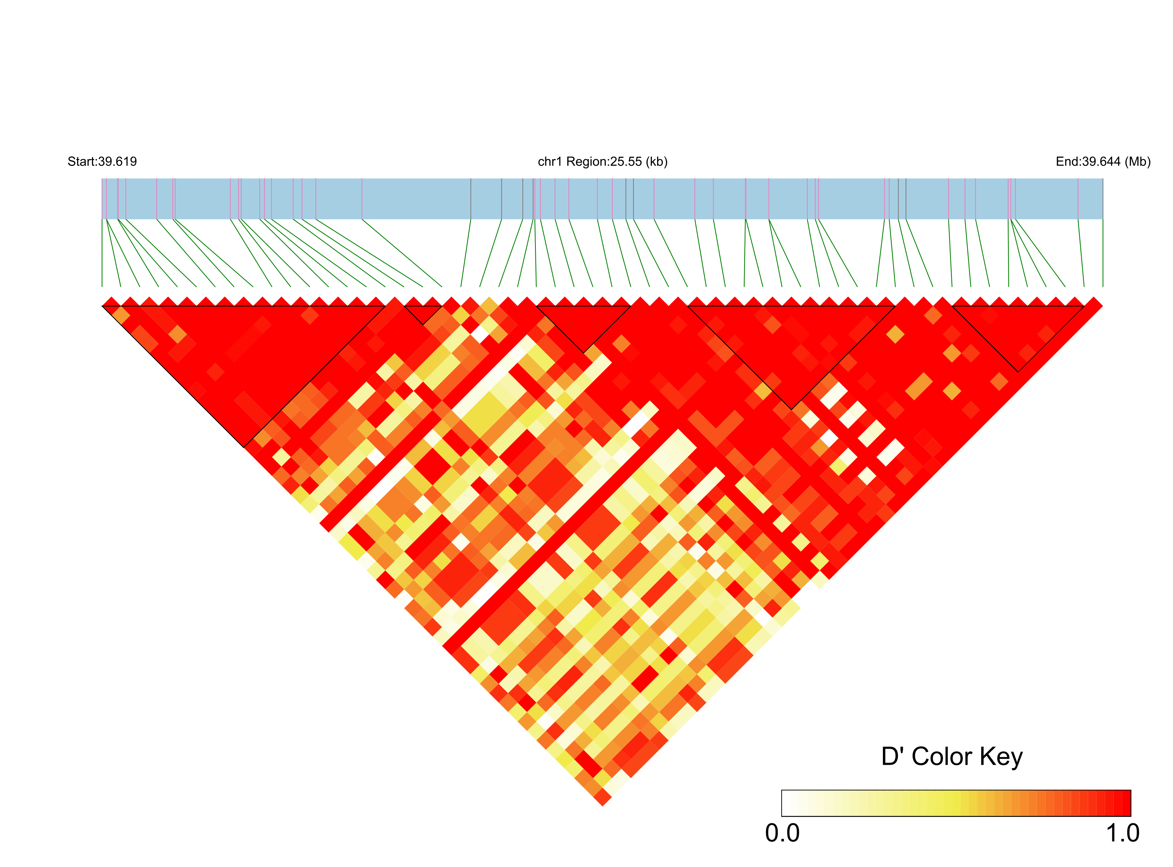 LD