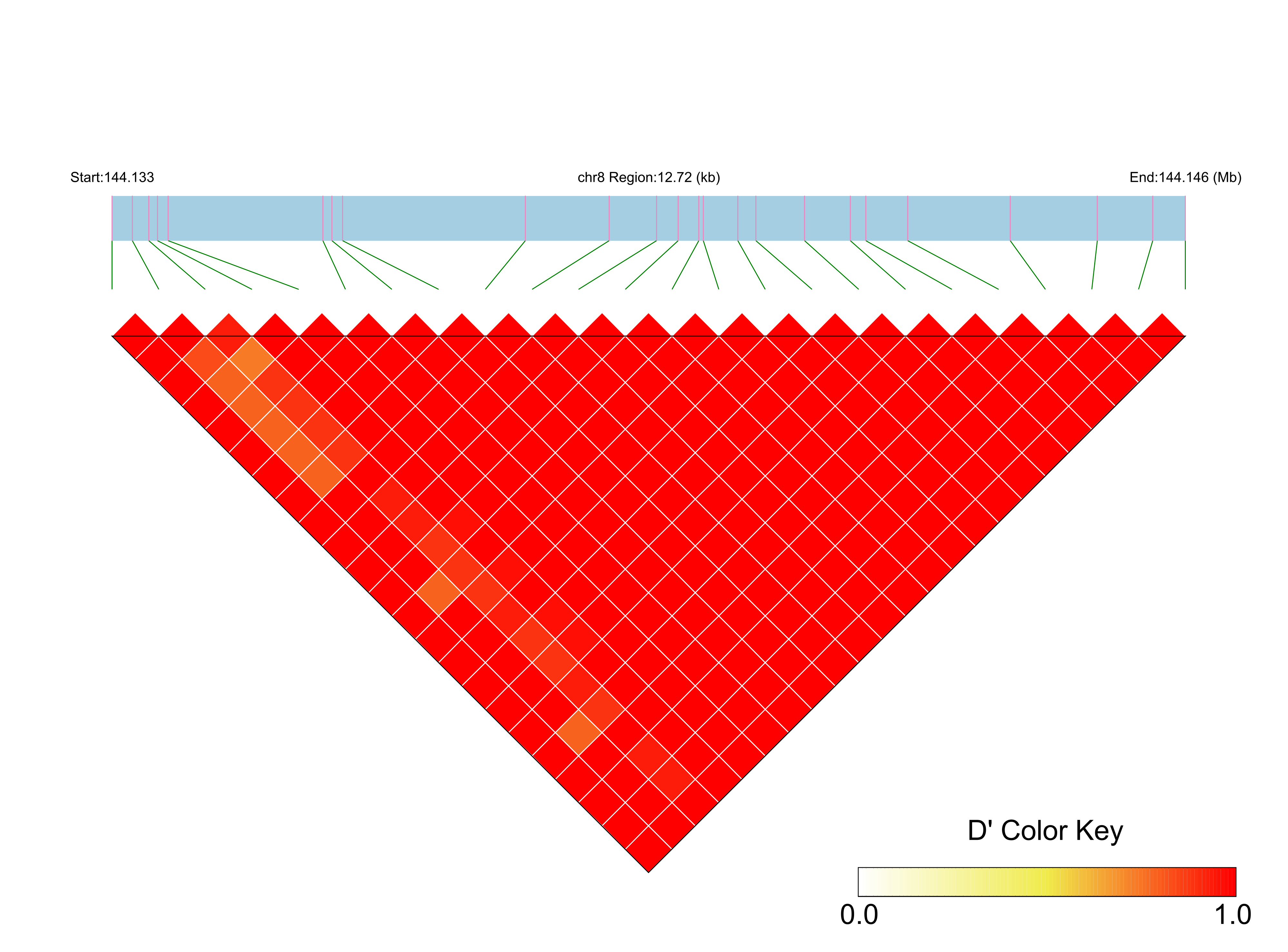 LD