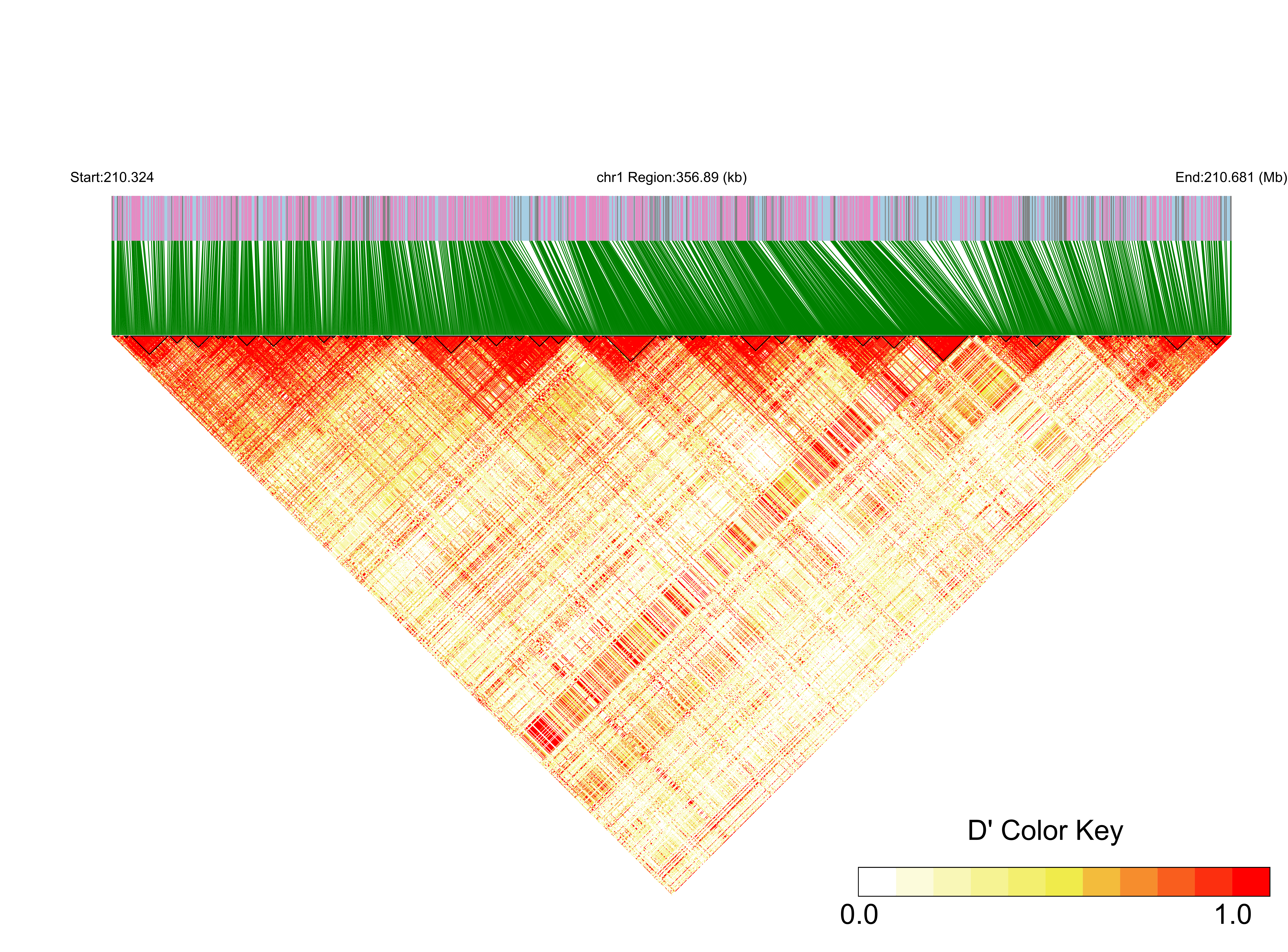 LD