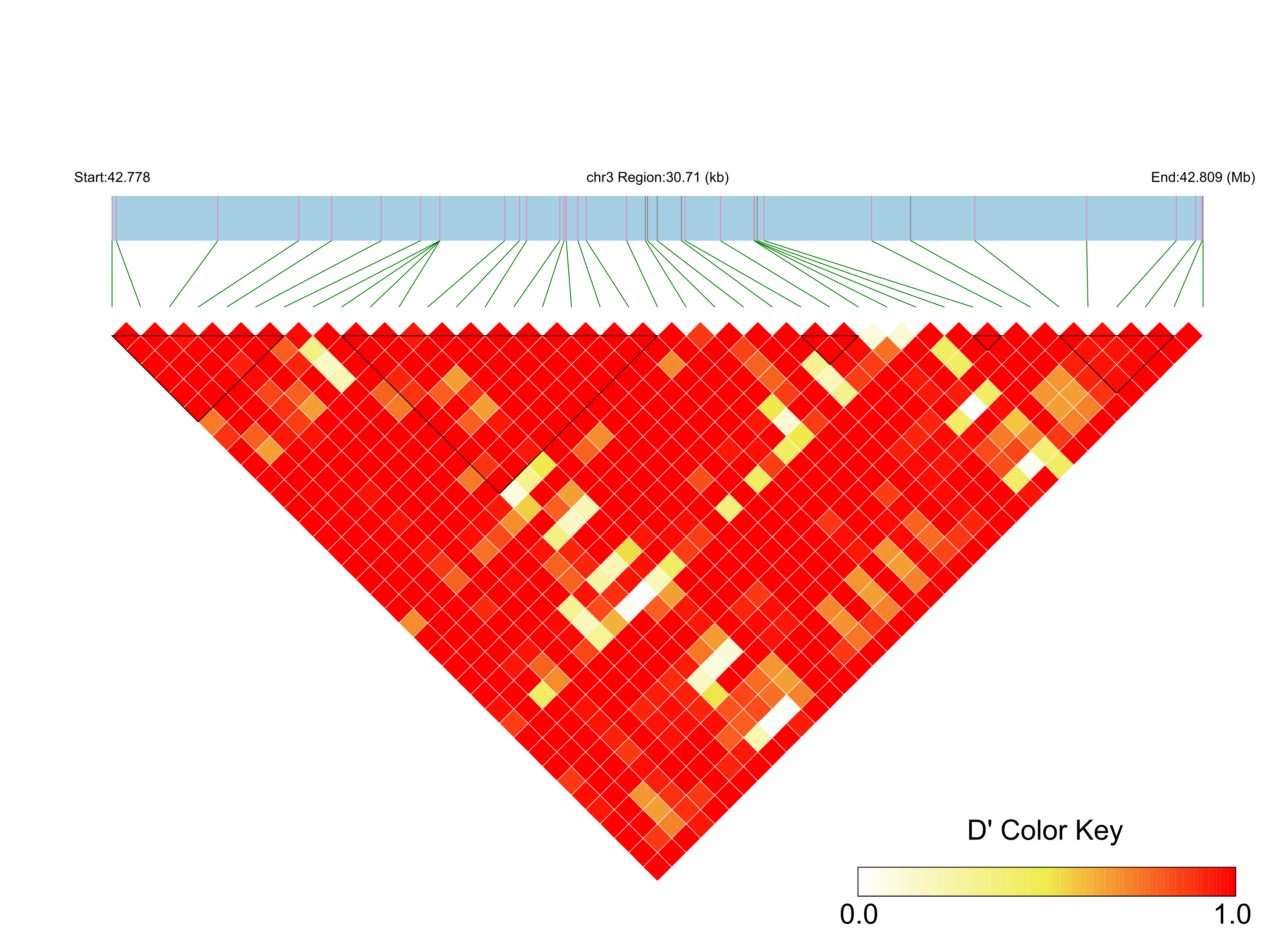 LD