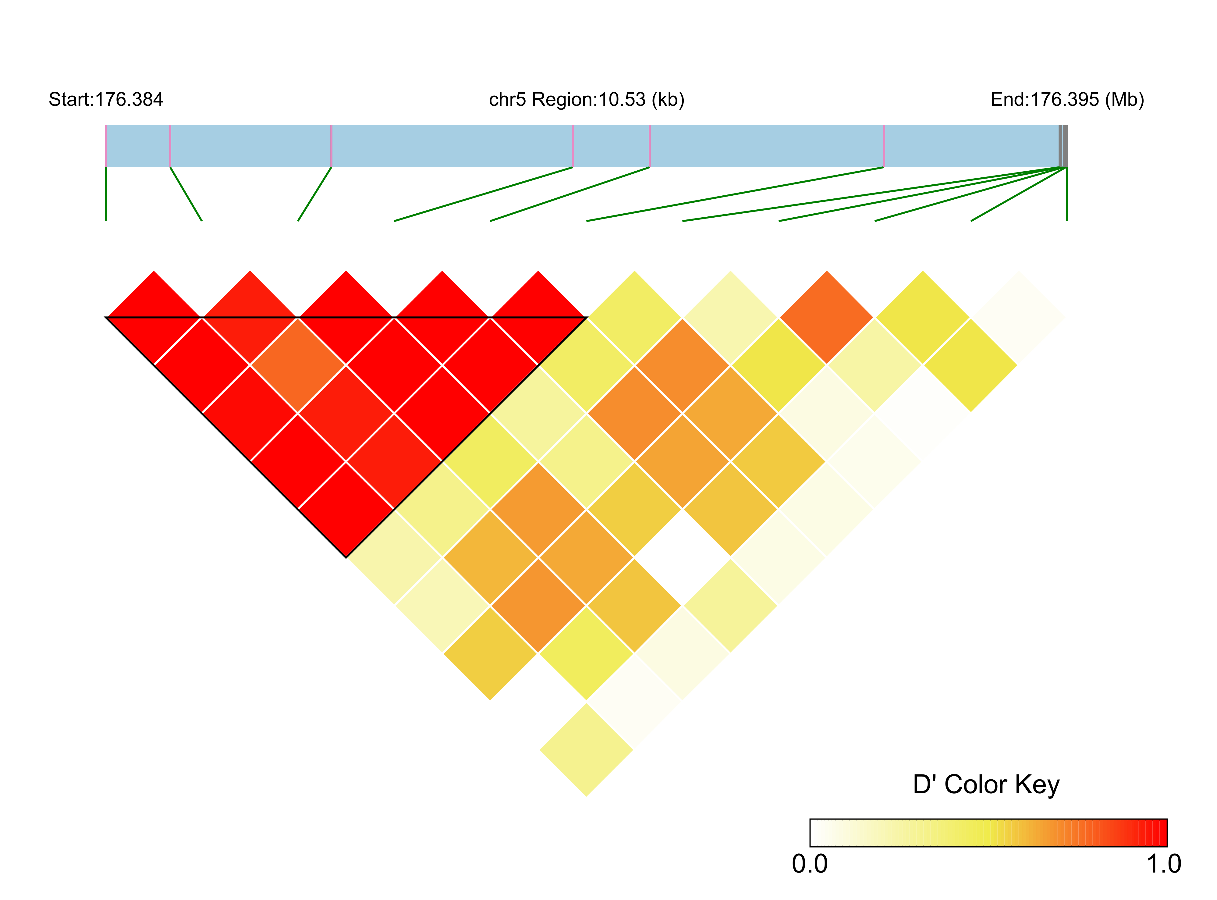 LD