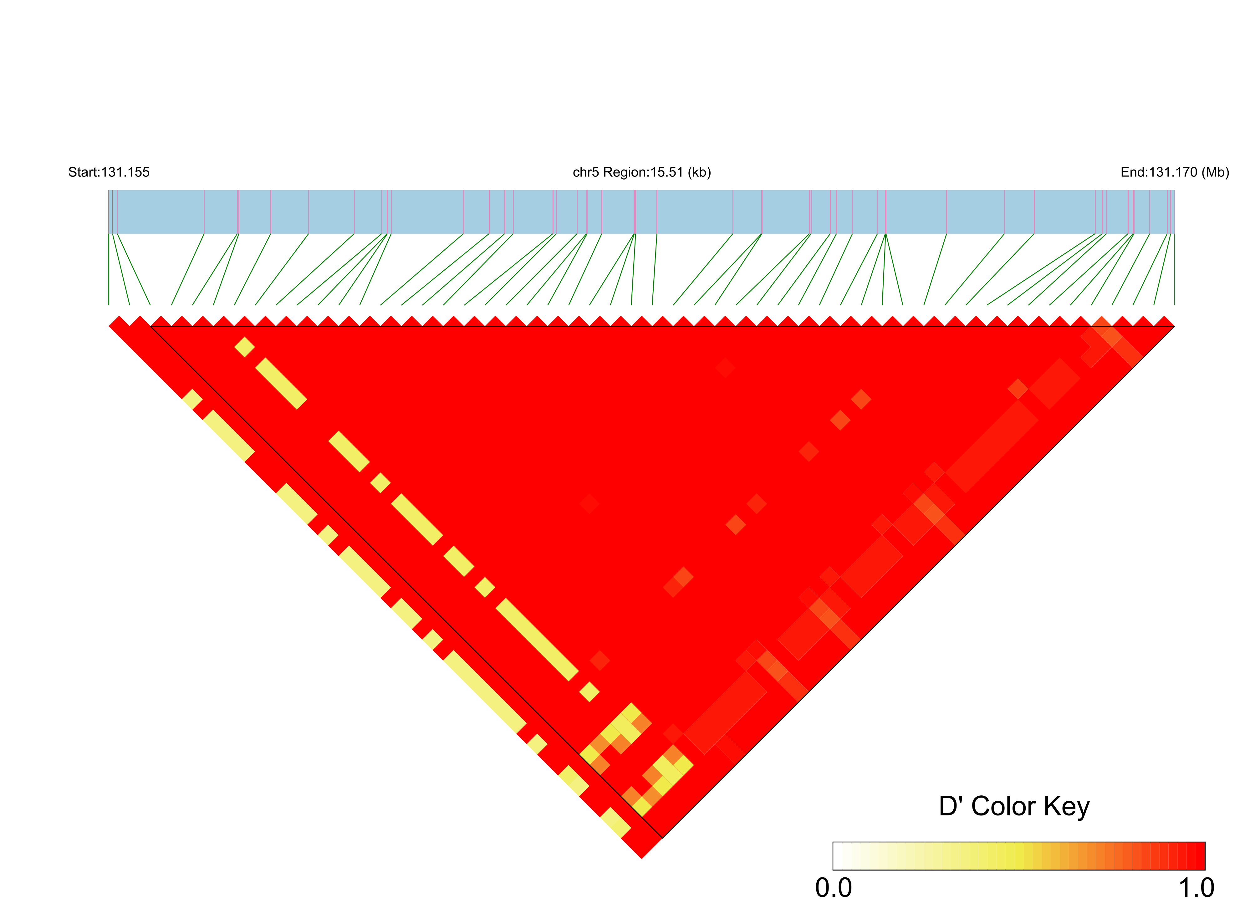 LD