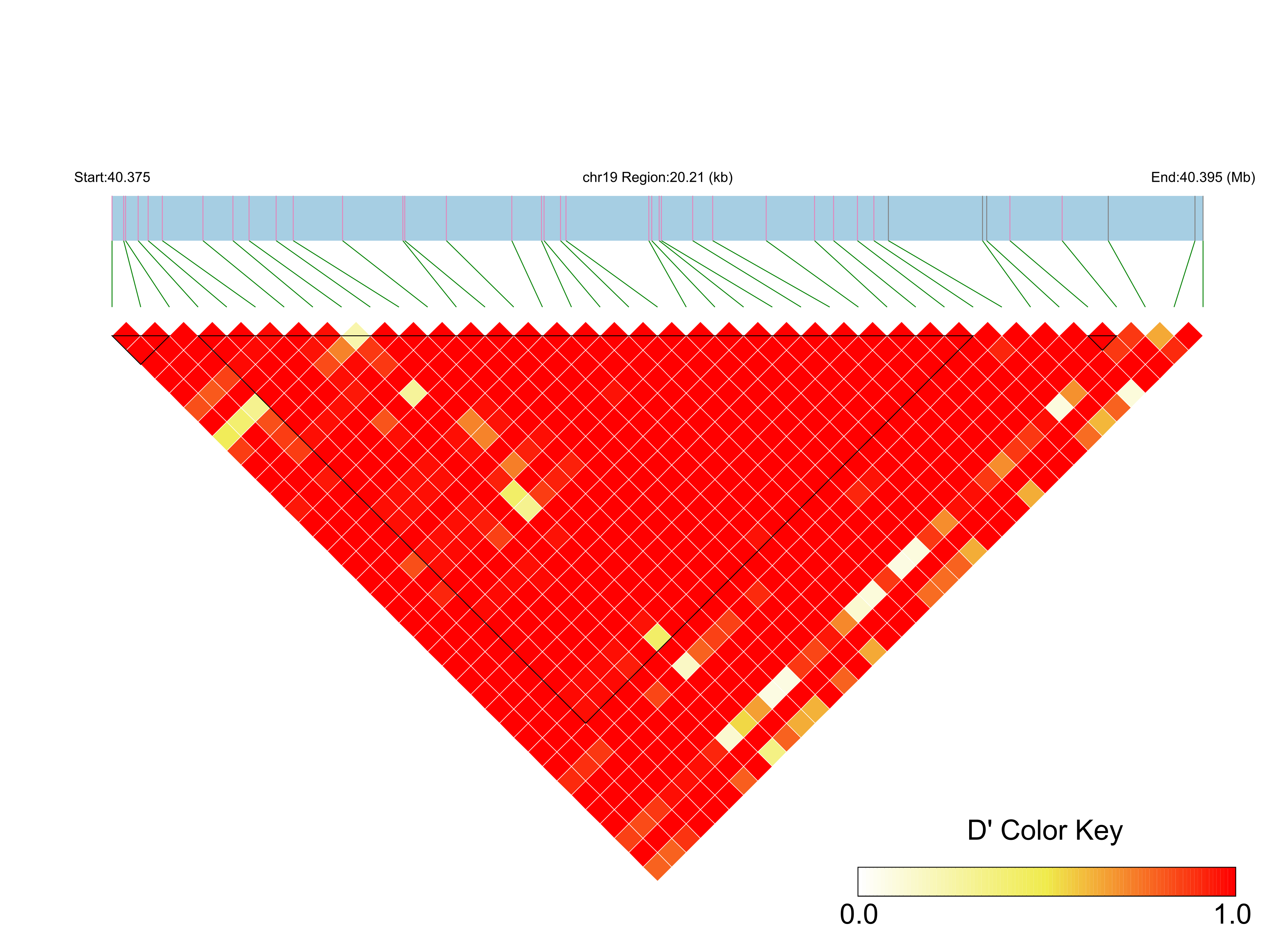 LD