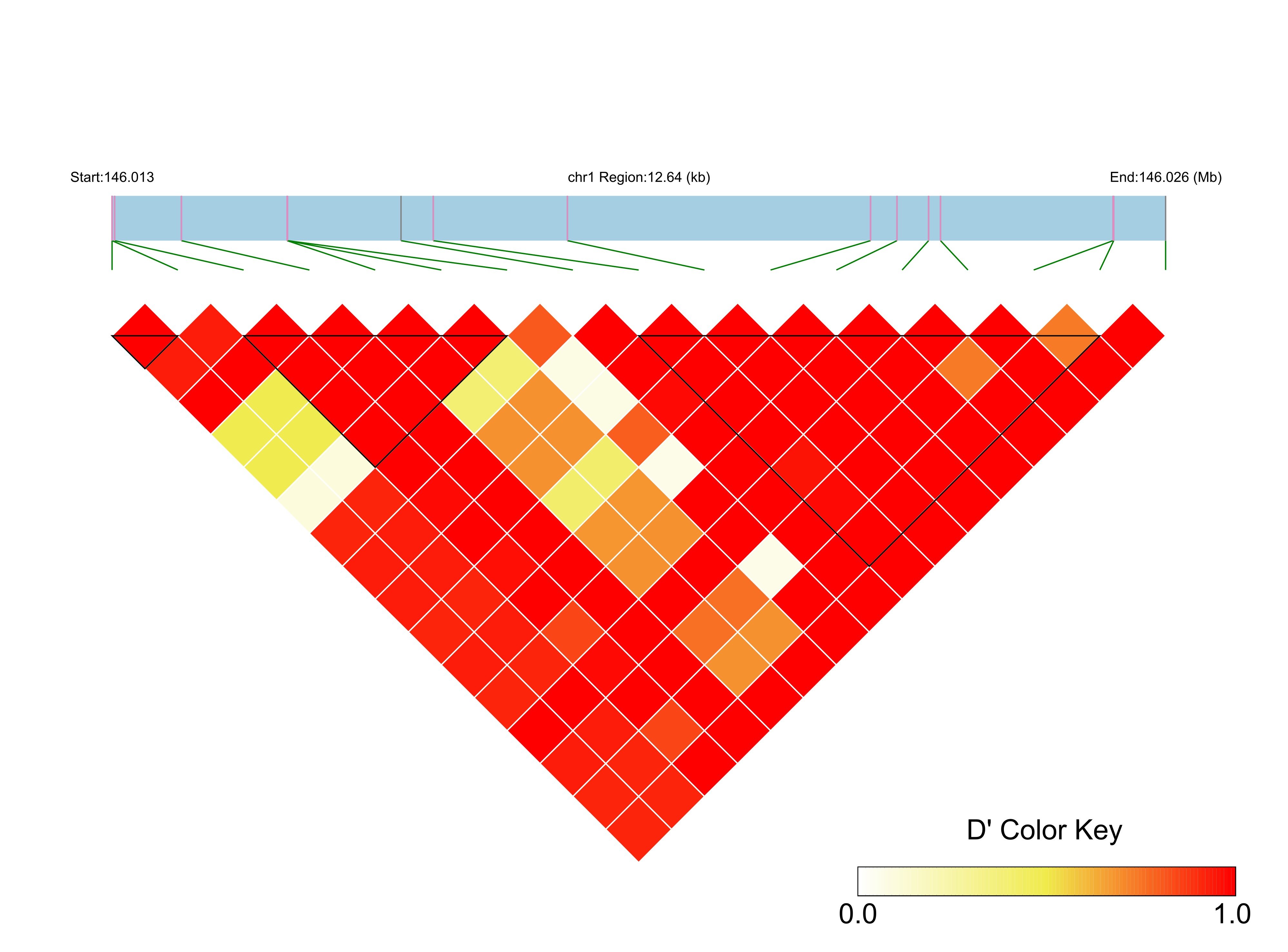 LD