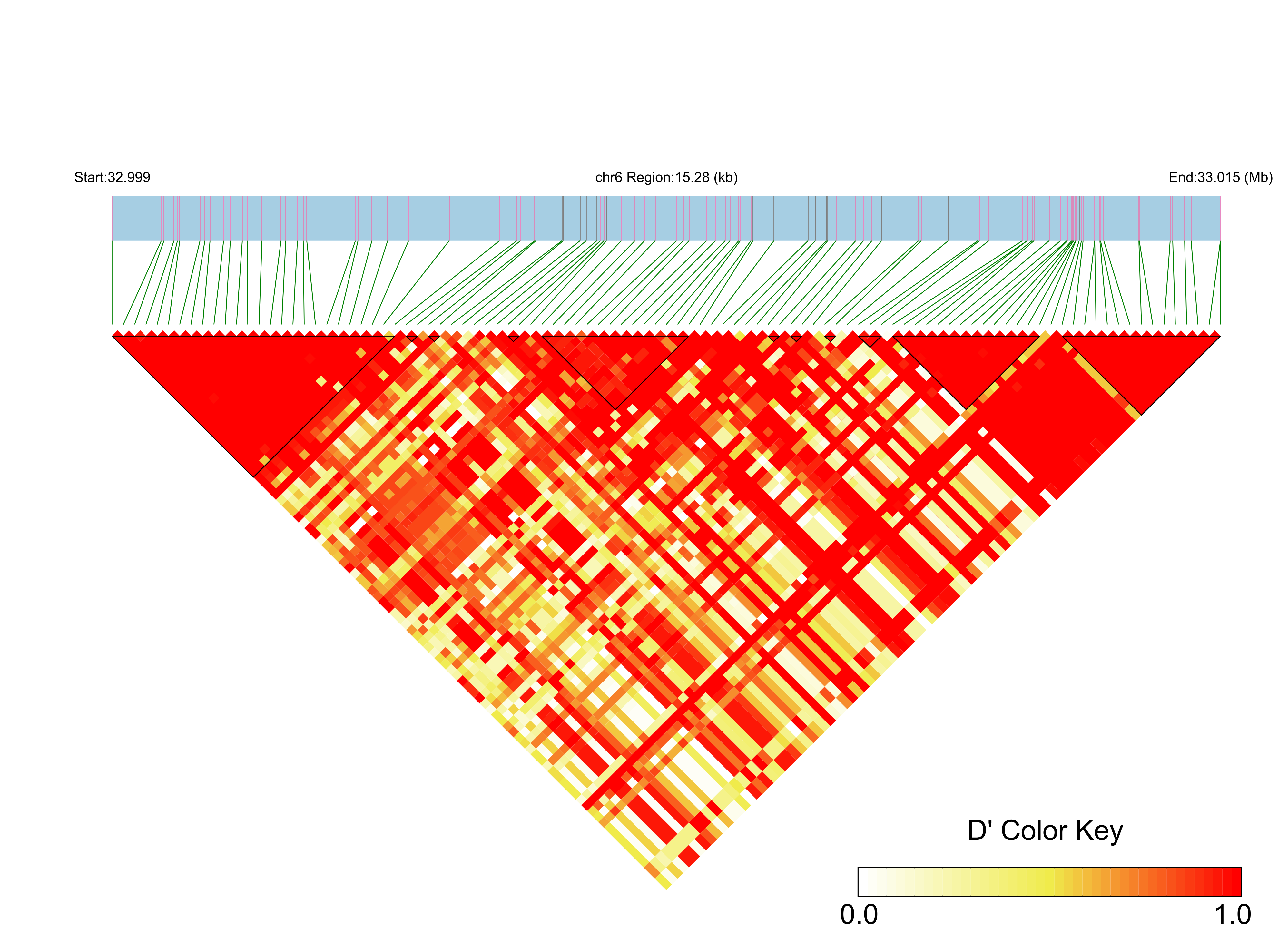 LD