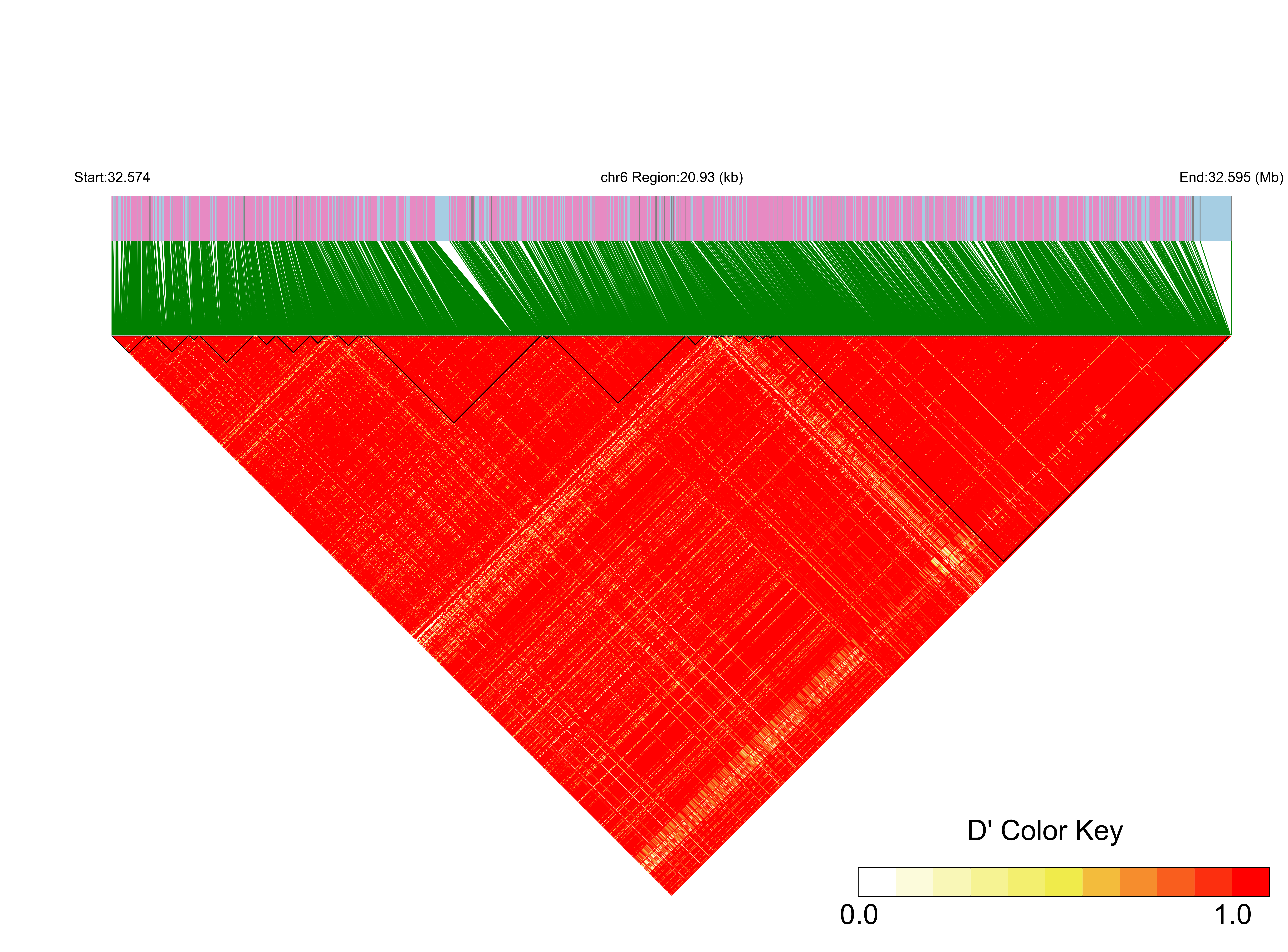 LD