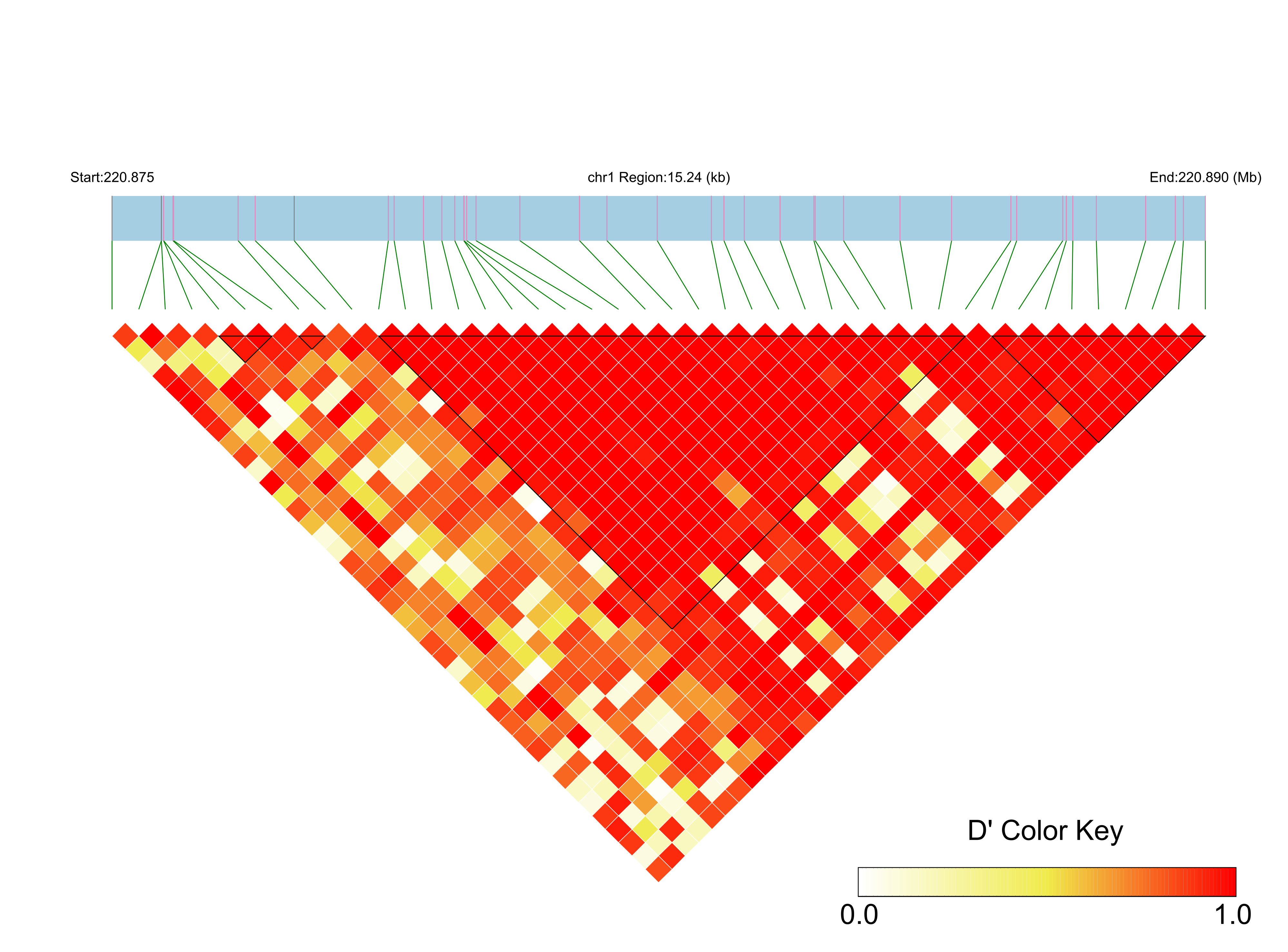 LD