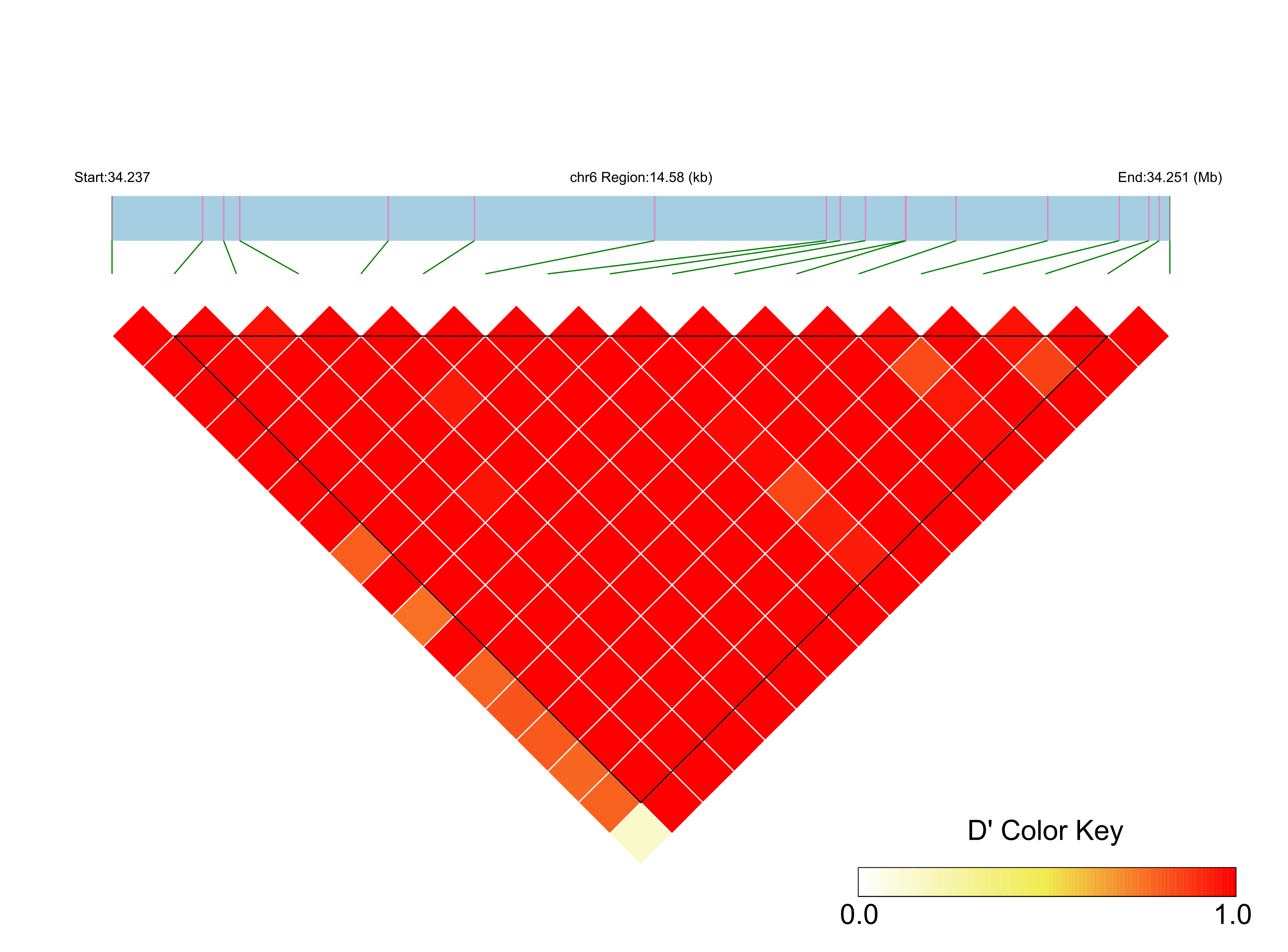 LD