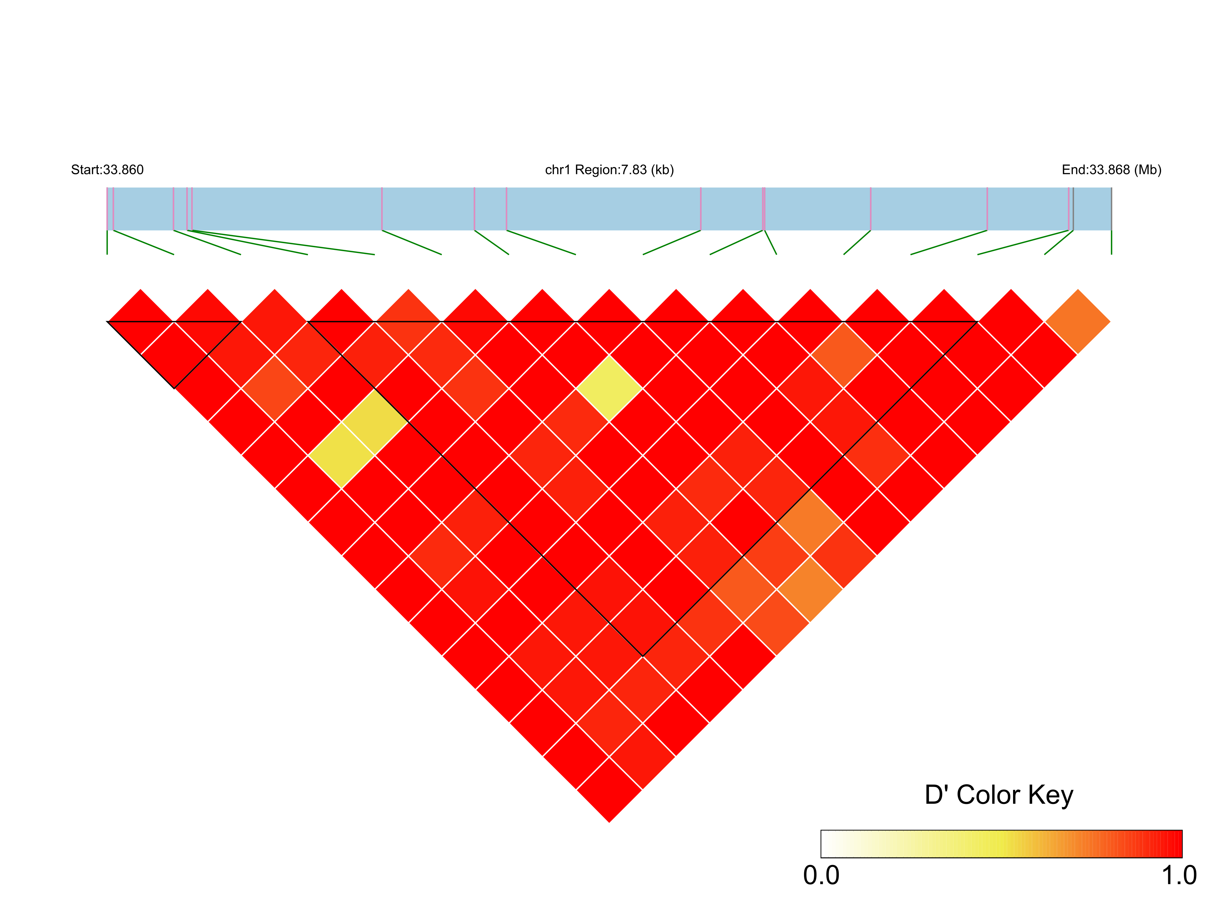 LD