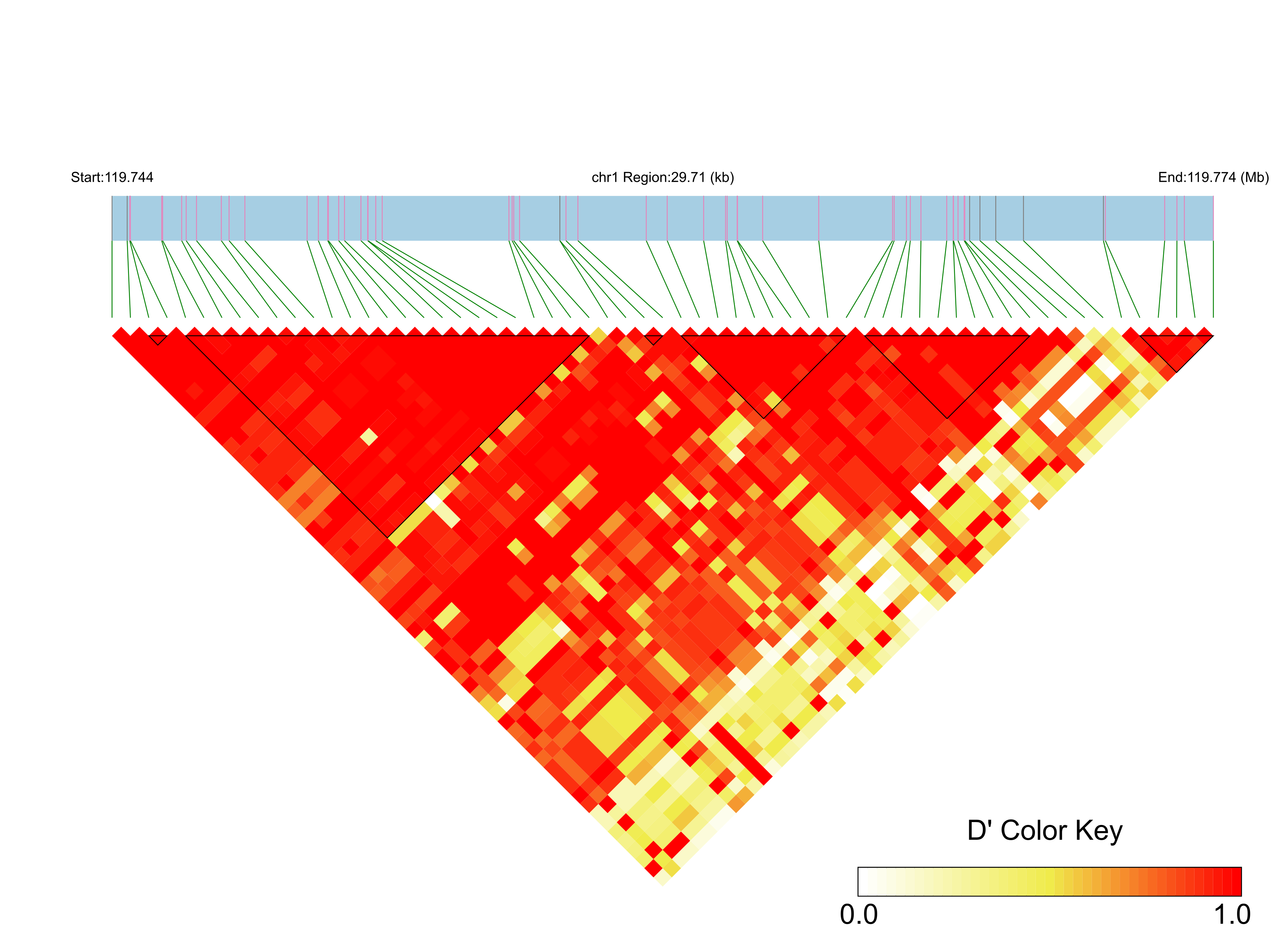 LD