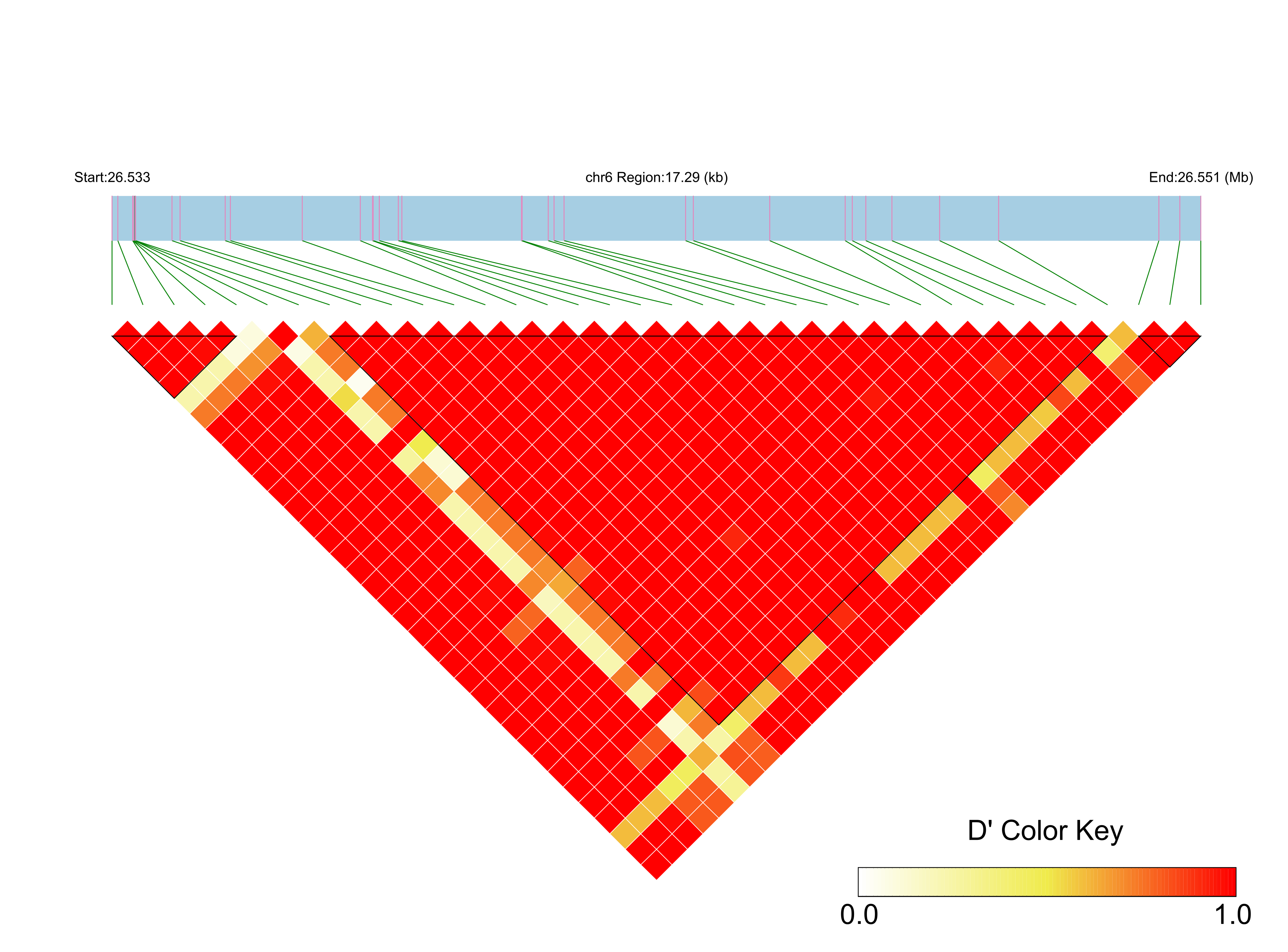 LD
