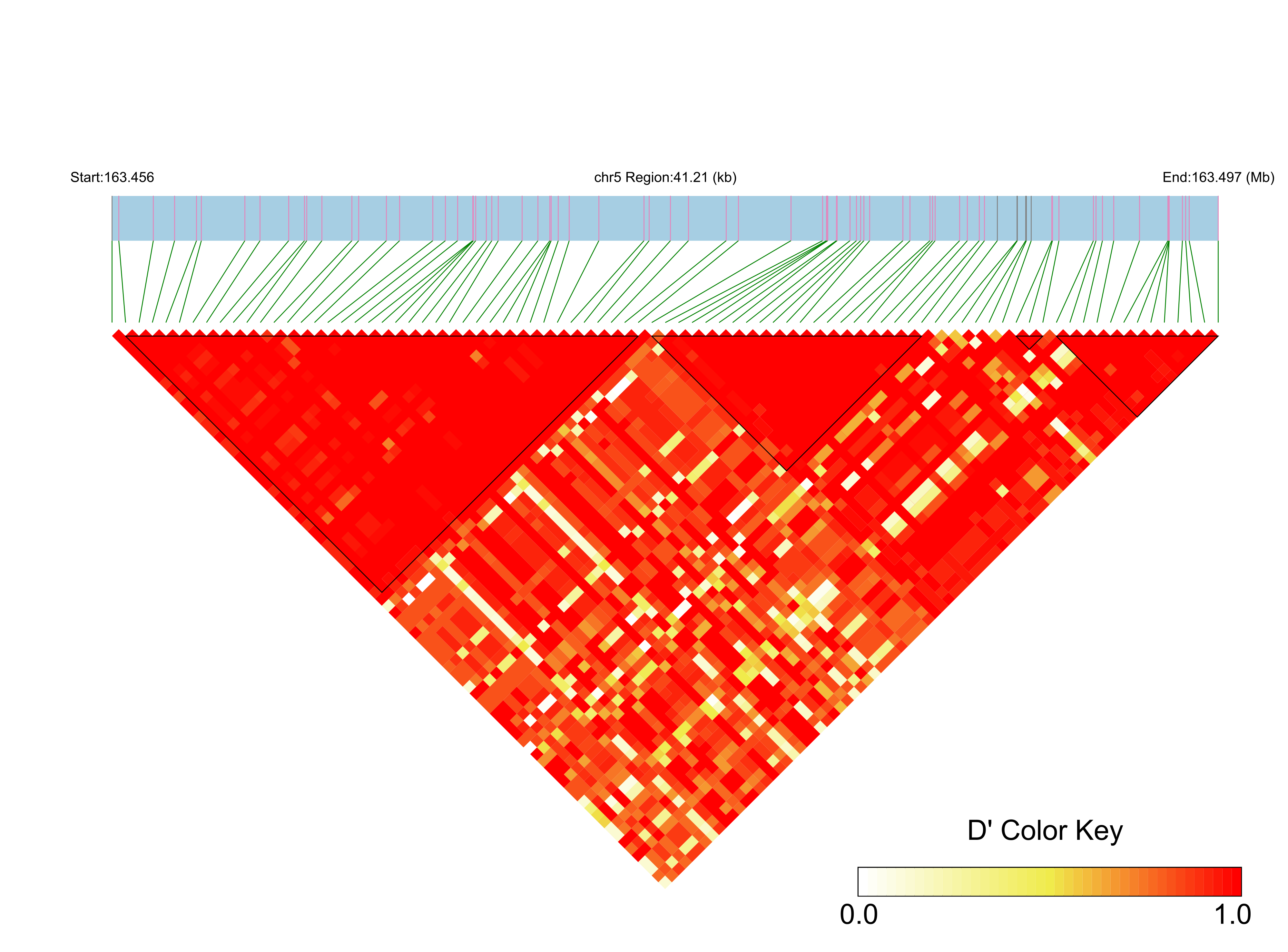 LD