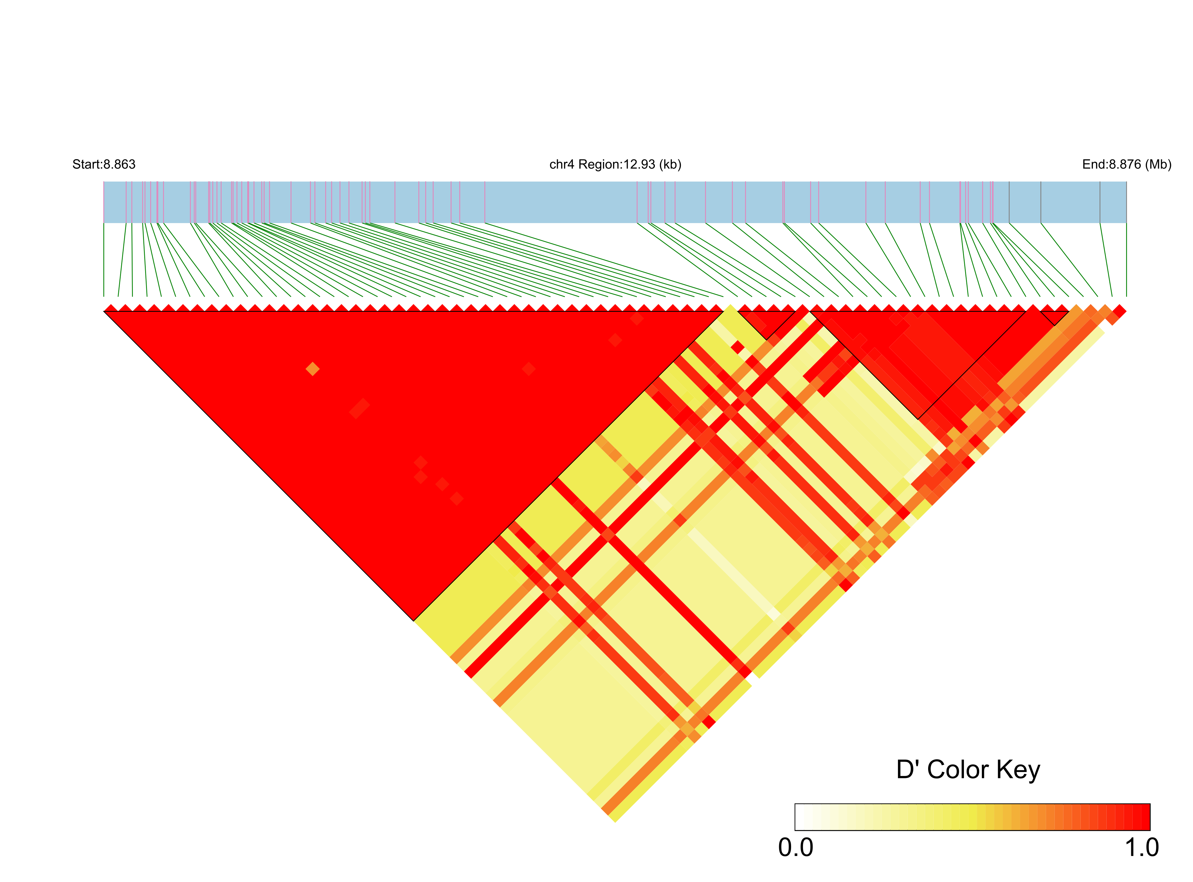 LD