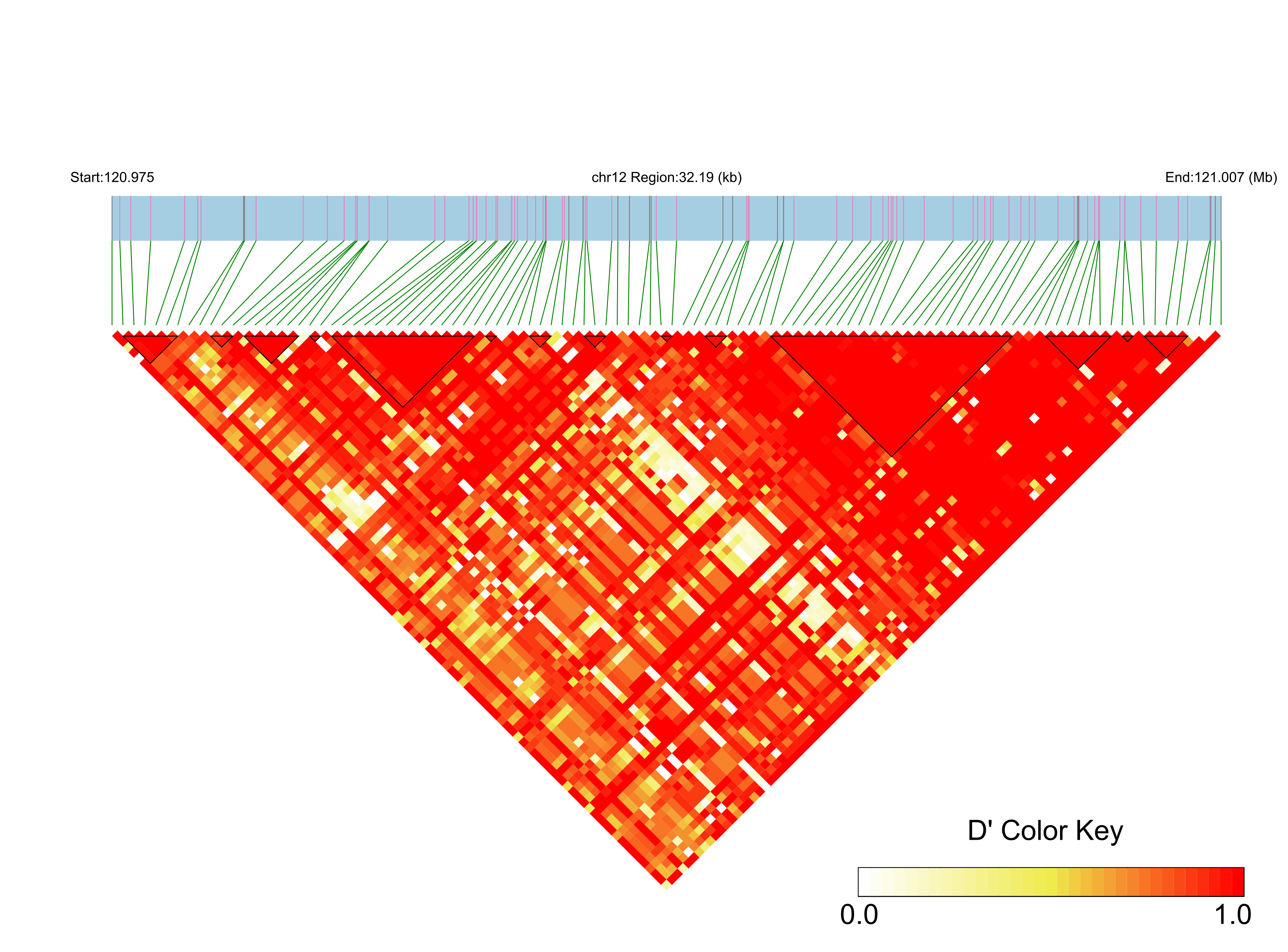 LD
