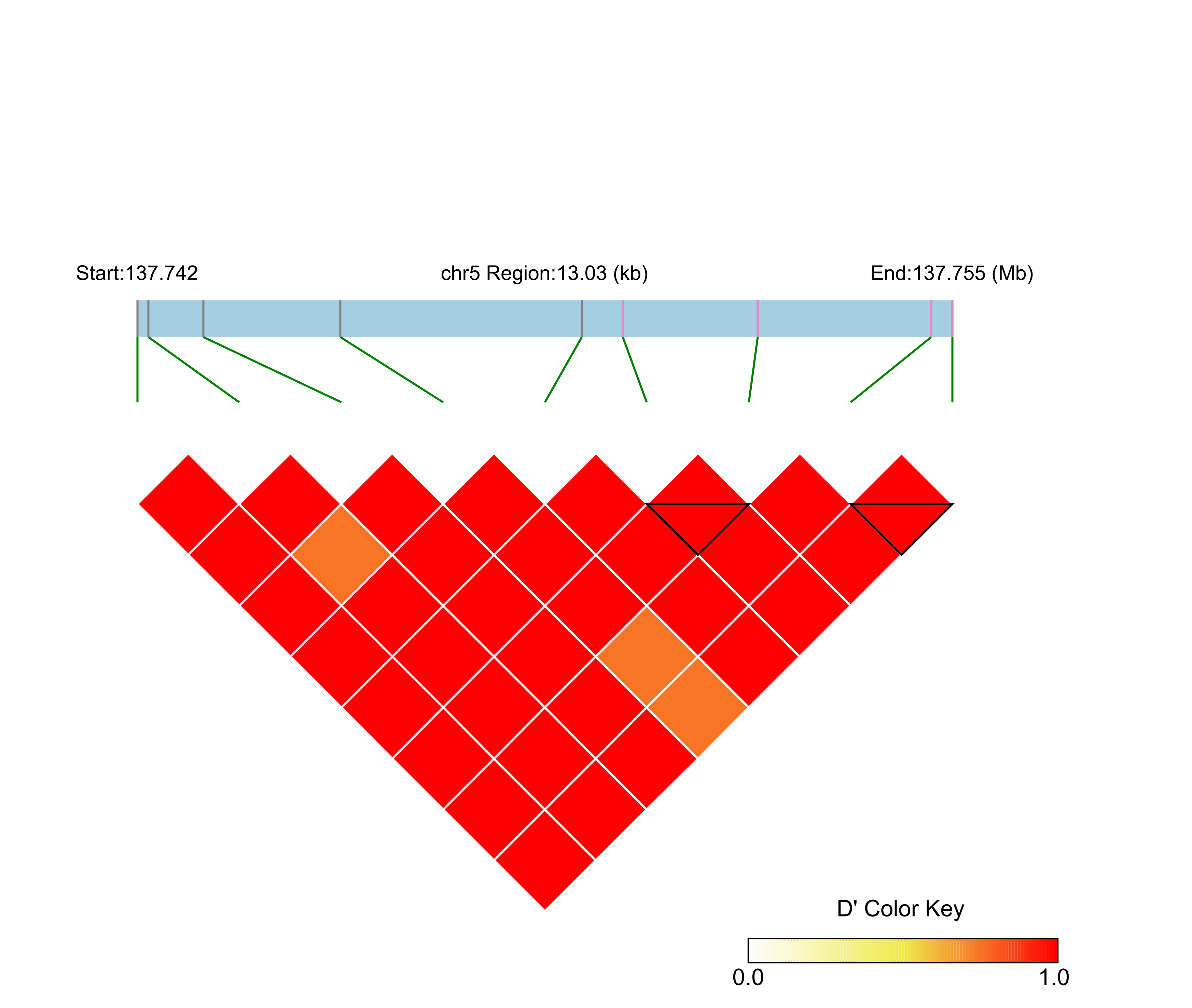 LD