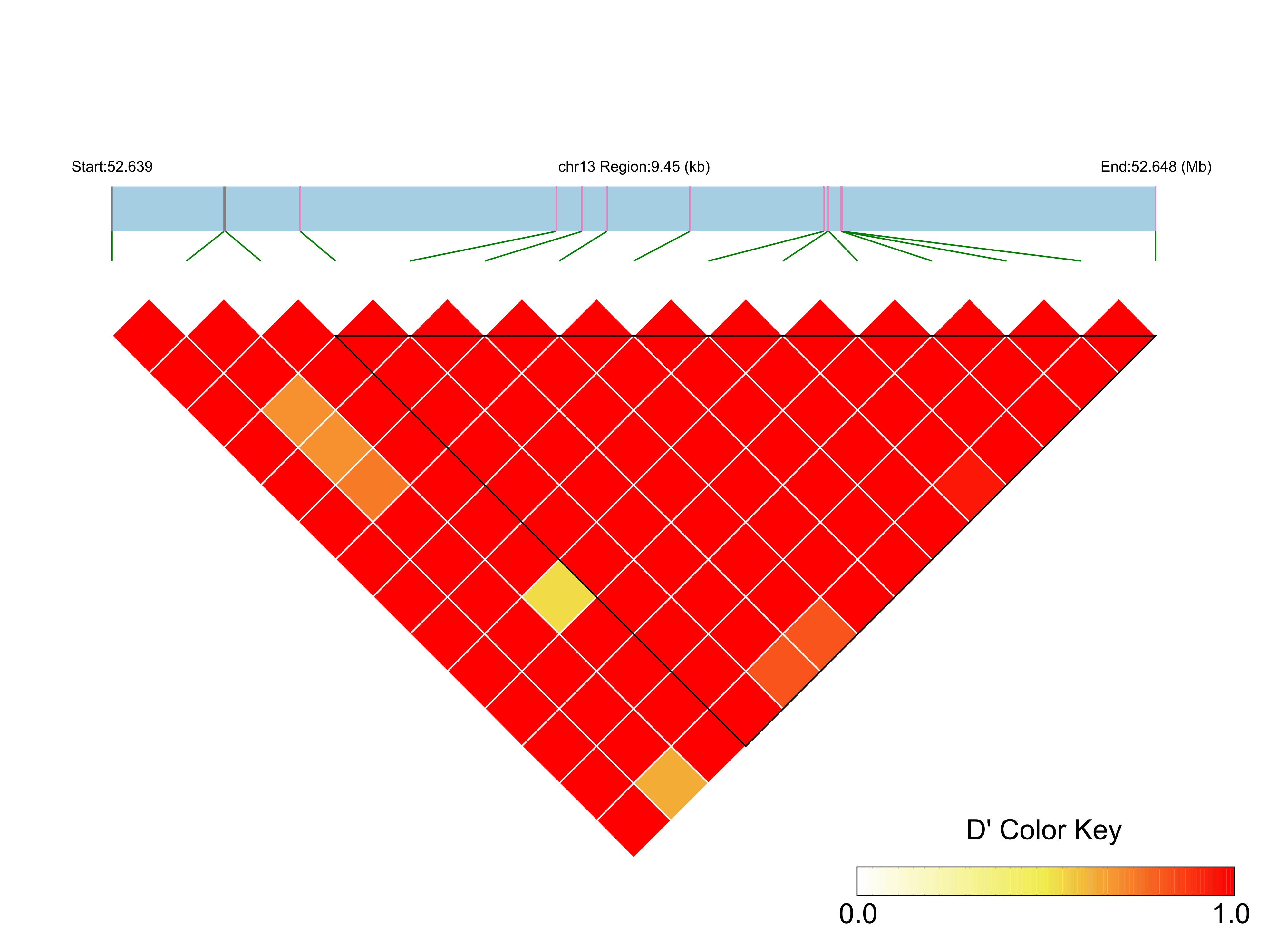 LD