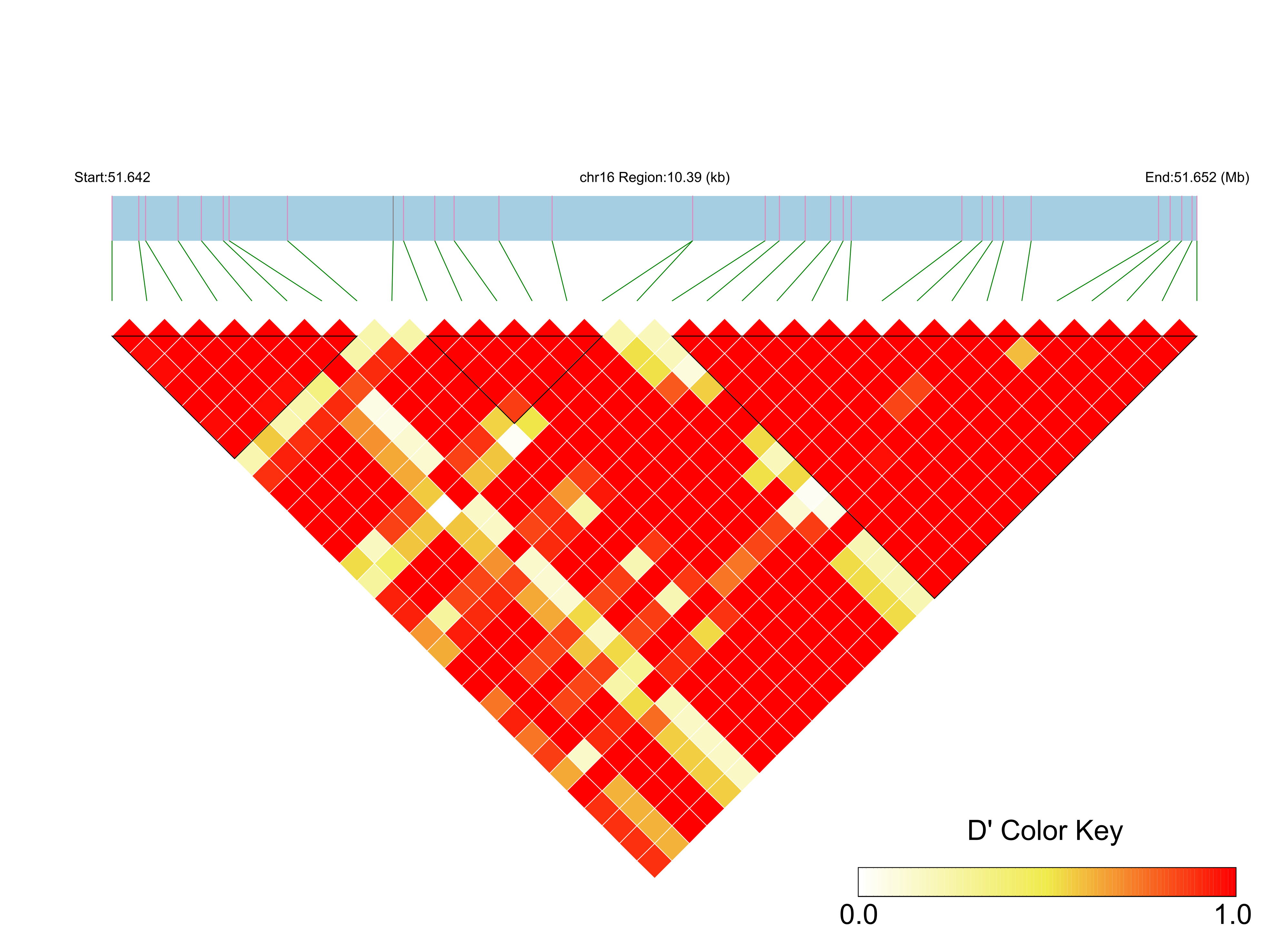 LD