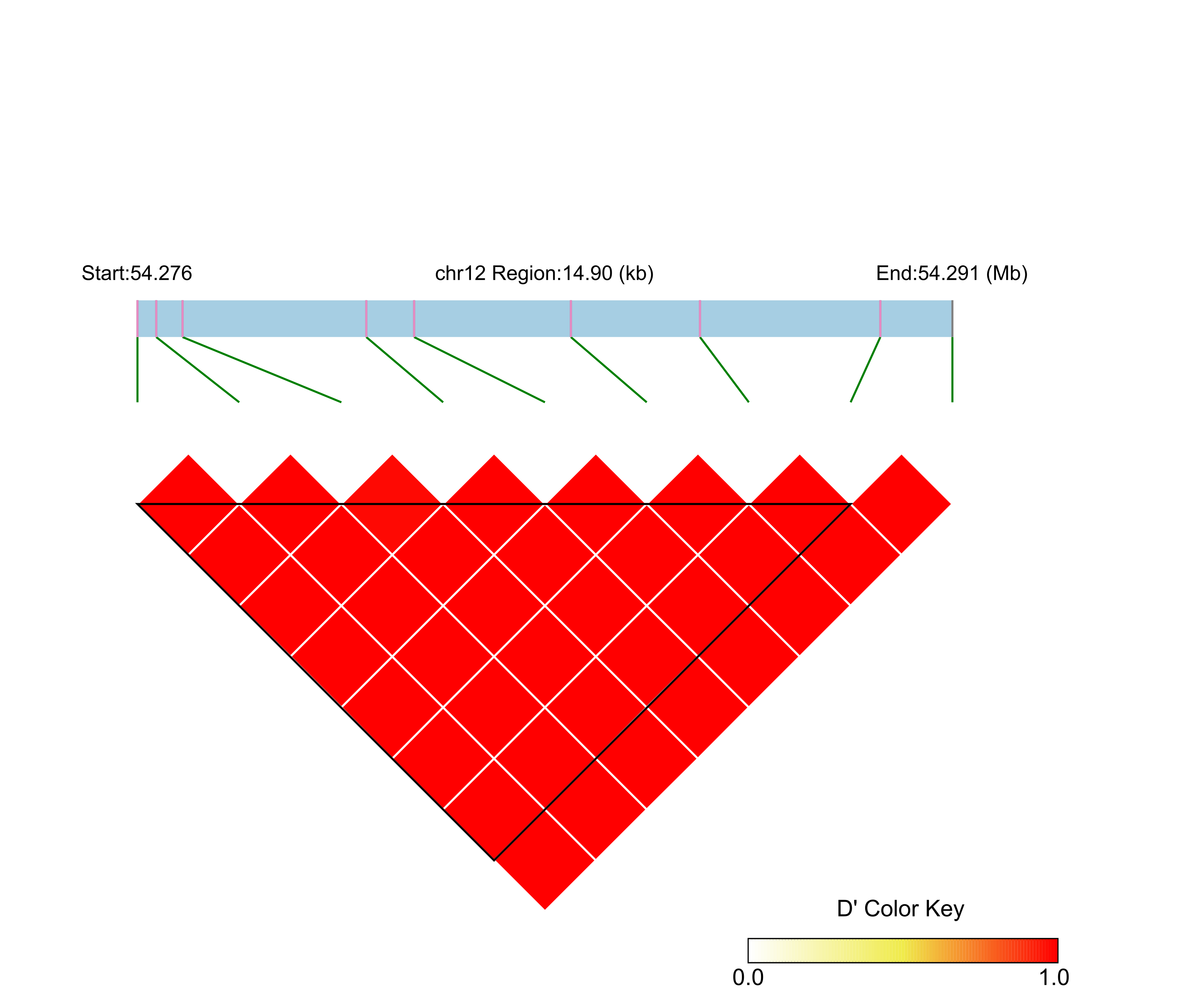 LD