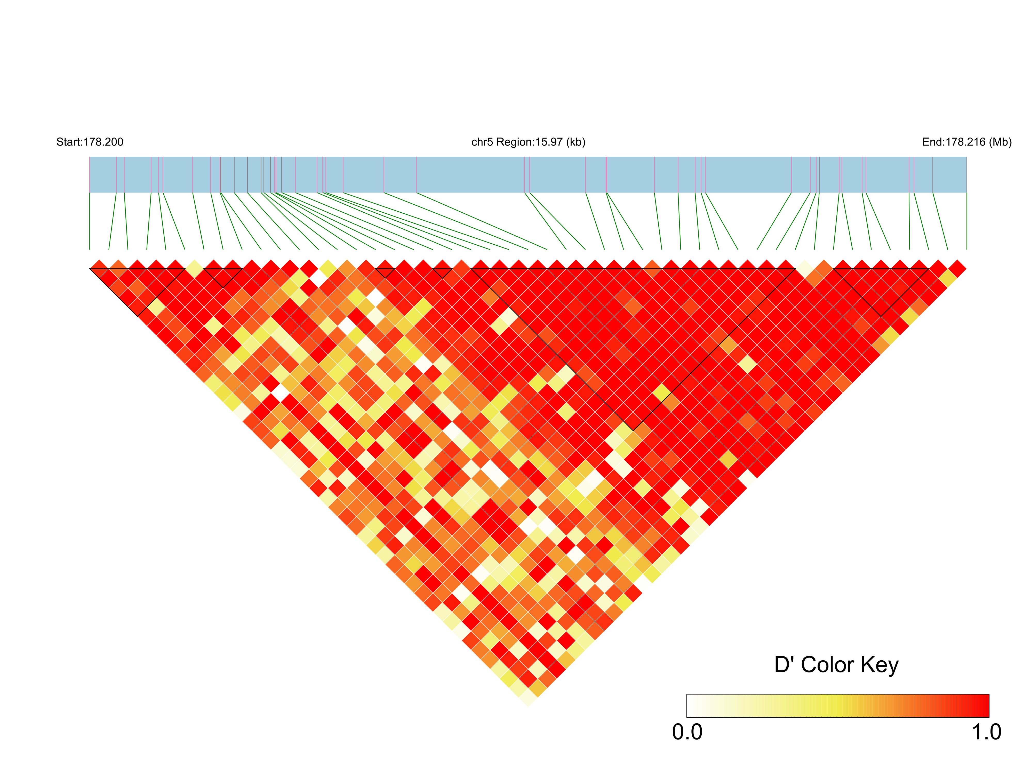 LD
