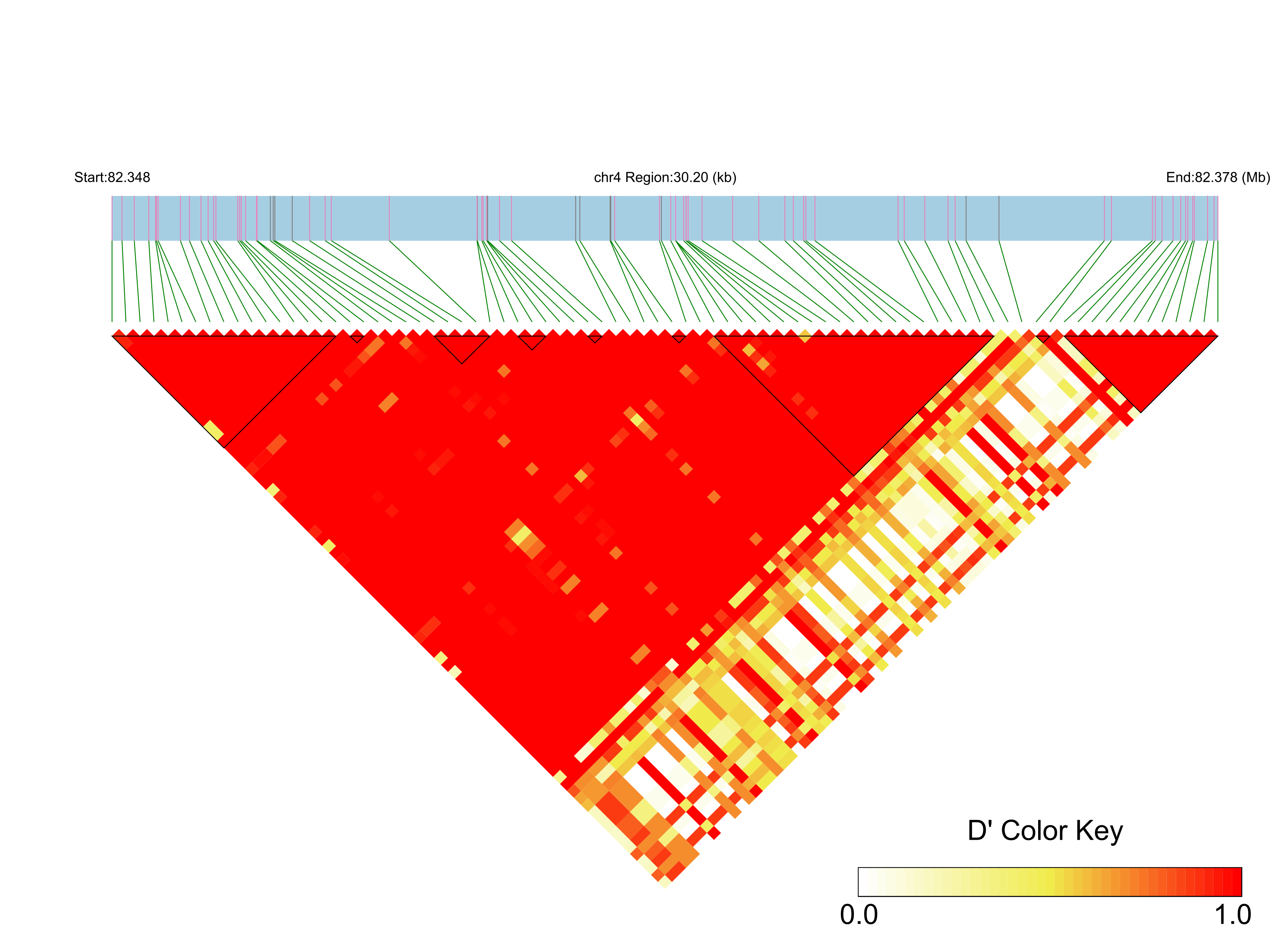 LD