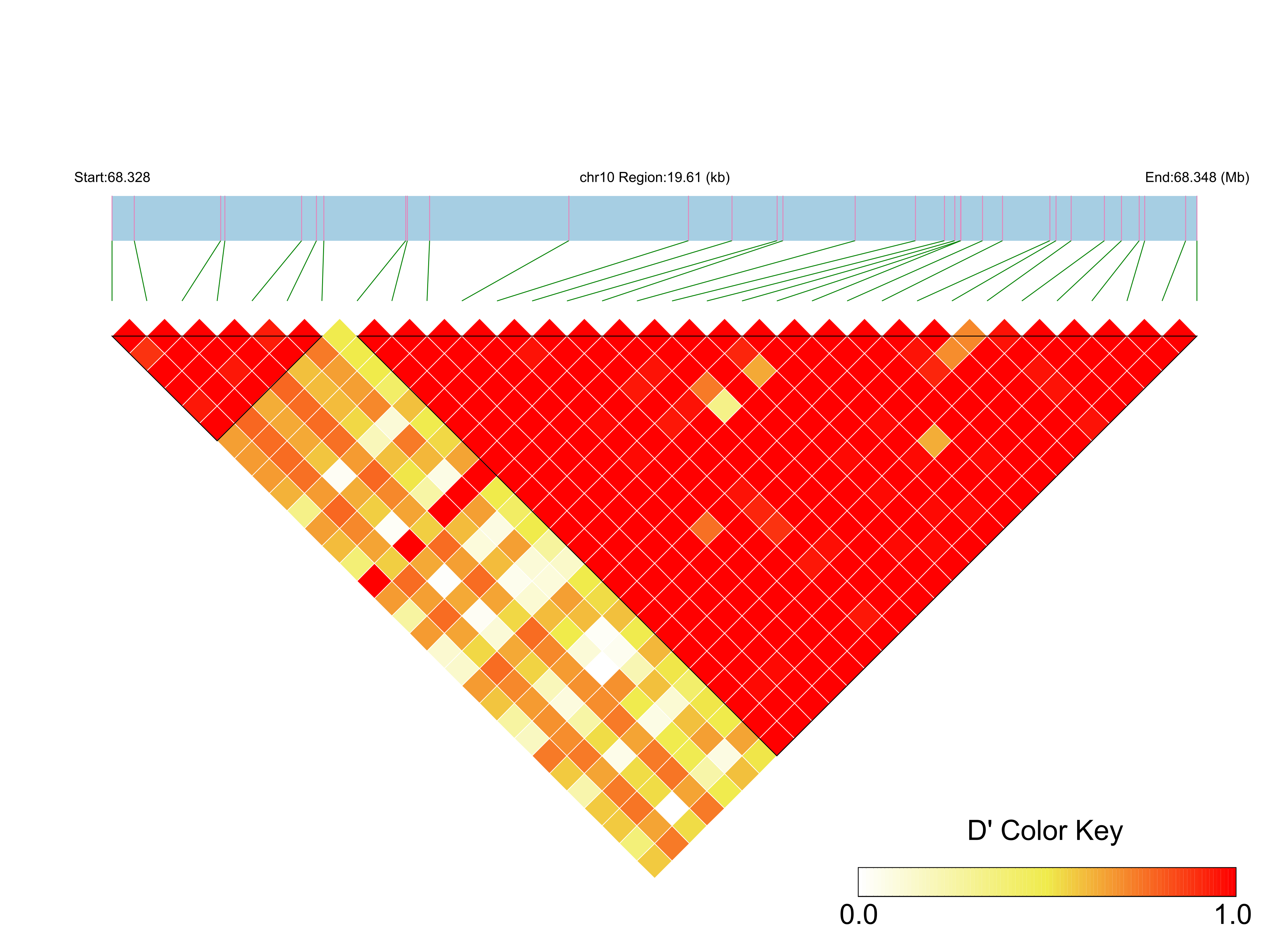 LD