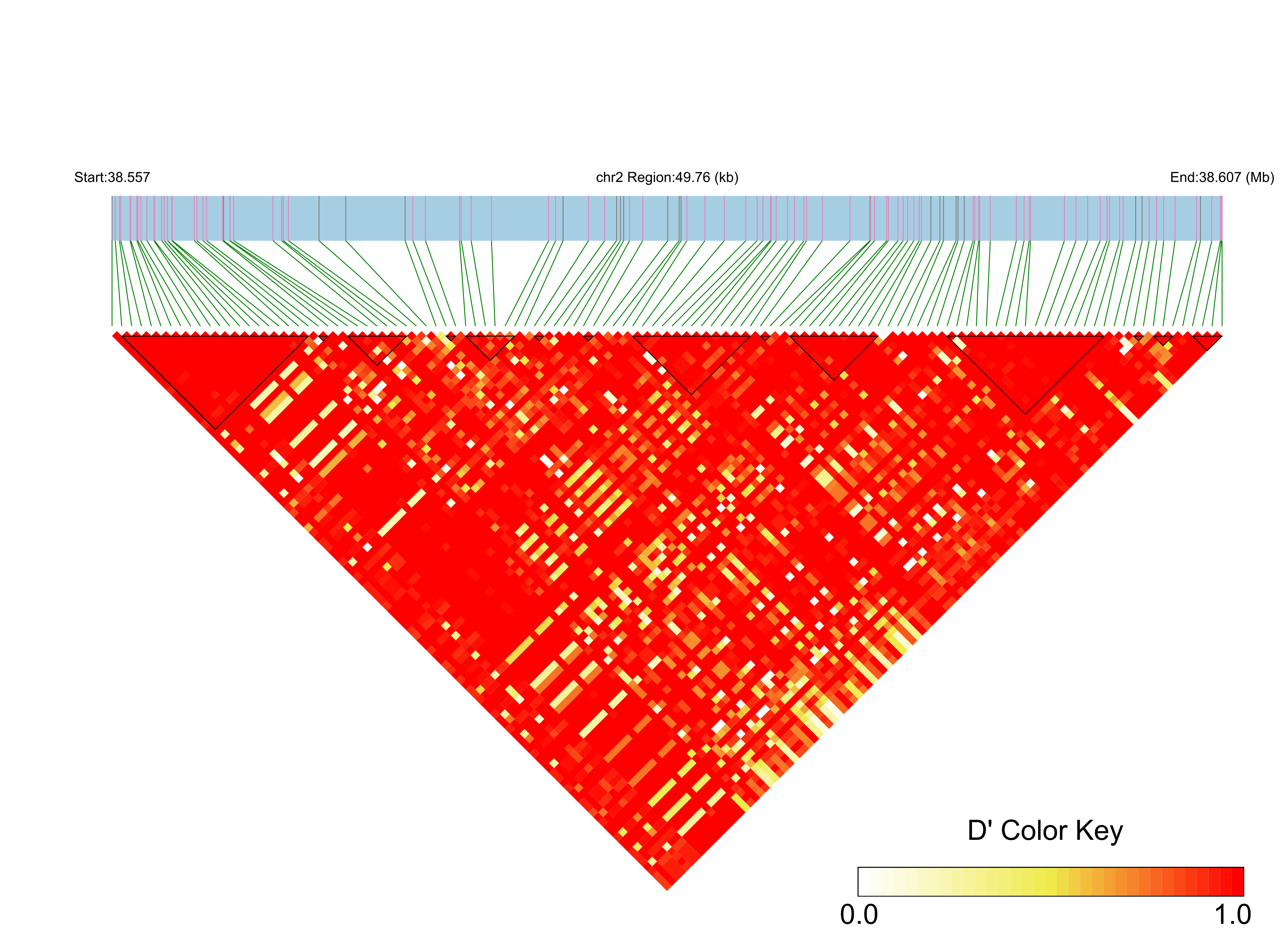 LD